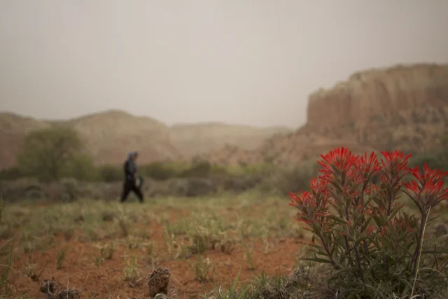 Ghost Ranch, New Mexico