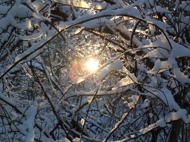 Winter Sun, Pennsylvania