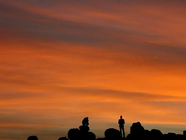 Joshua Tree Silhouettes, California