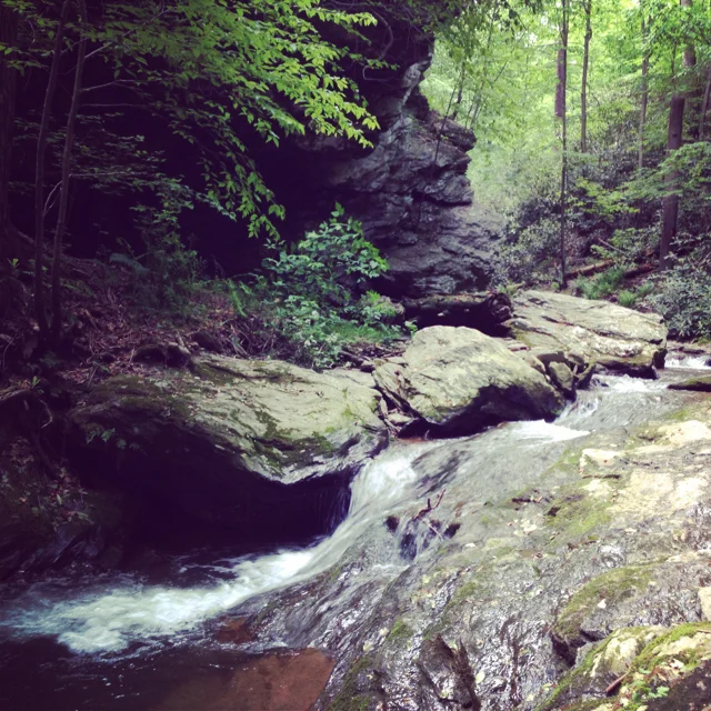 Springtime Stream, Susquehanna River Valley, Pennsylvania