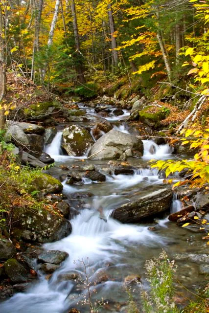Autumn stream, Vermont