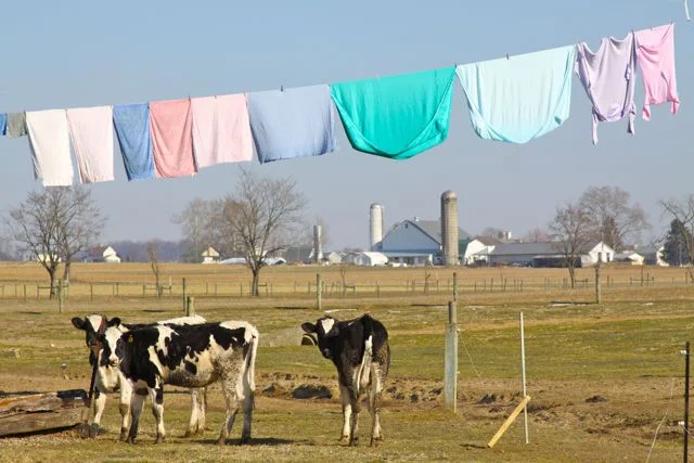 Laundry Day, Lancaster County, Pennsylvania