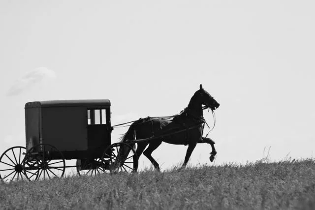Amish Horse and Buggy, Lancaster County, Pennsylvania
