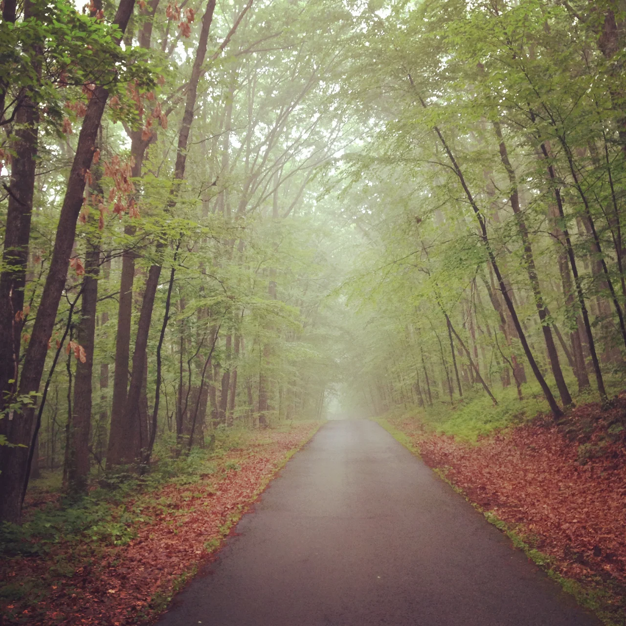 Springtime Road, PA