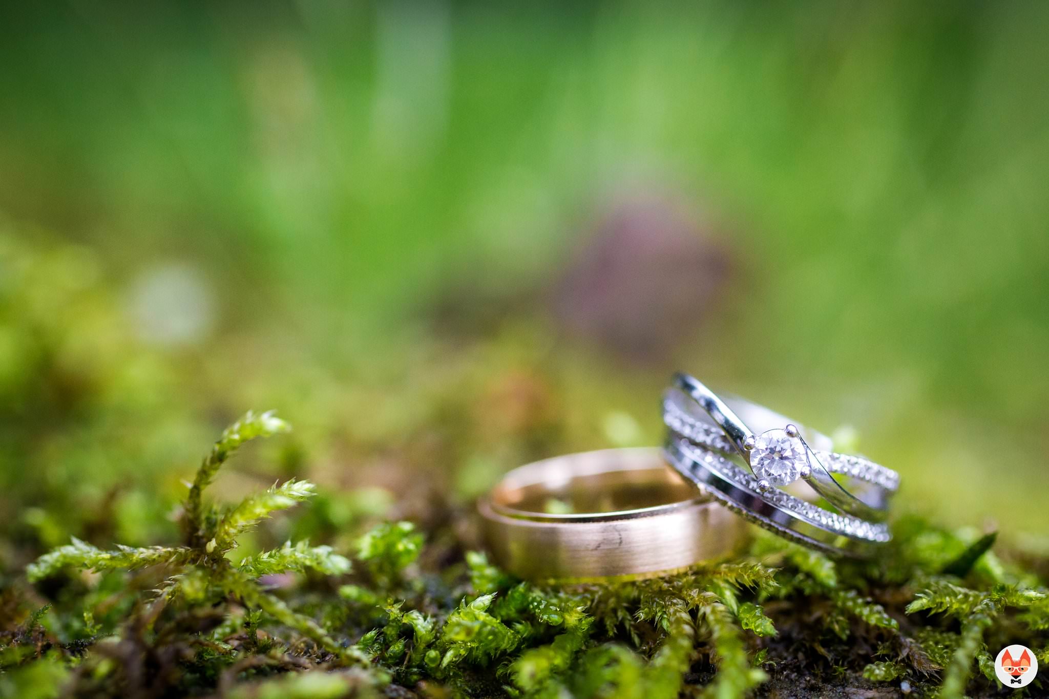detailed shot of wedding rings