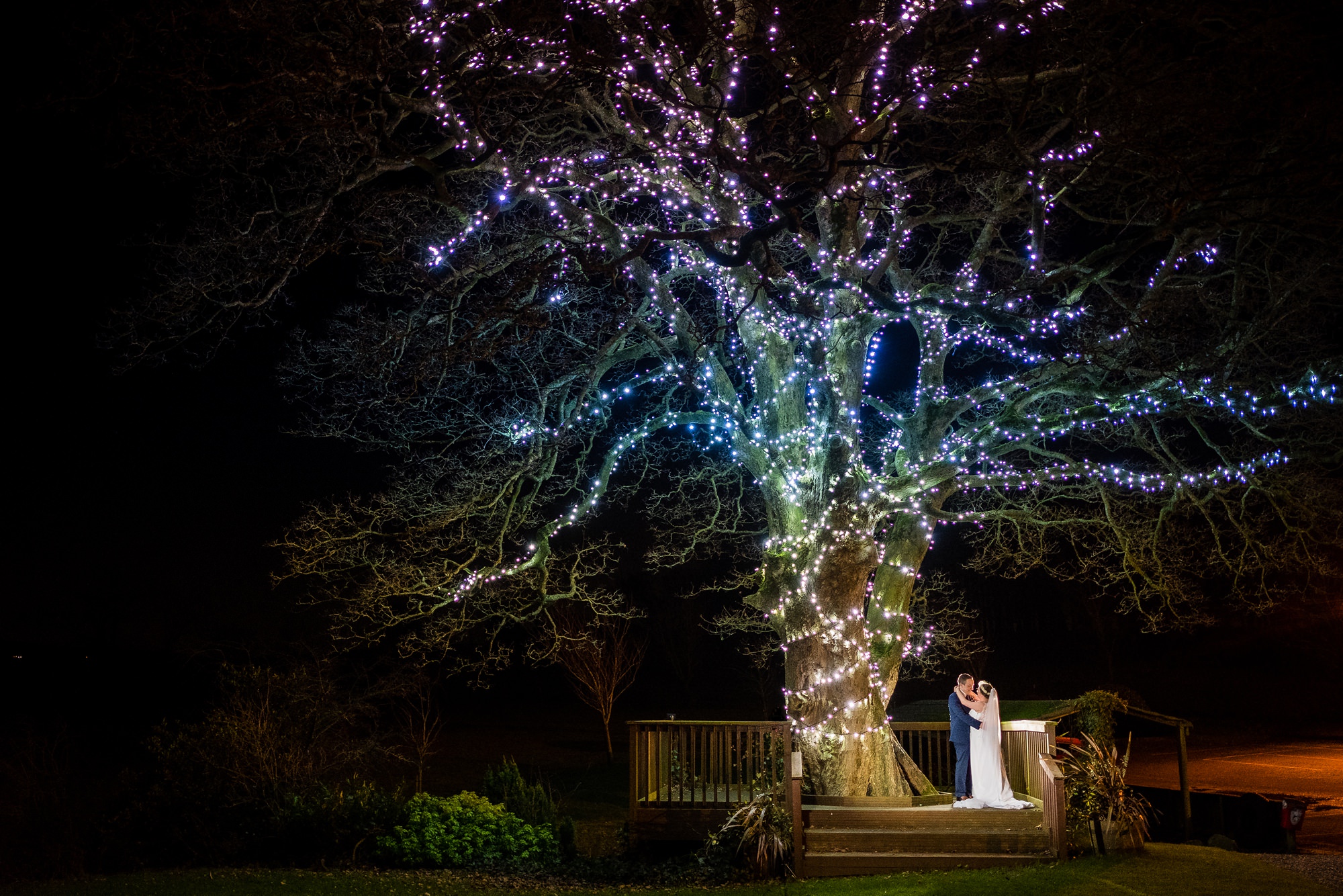 bride and groom by large lit tree