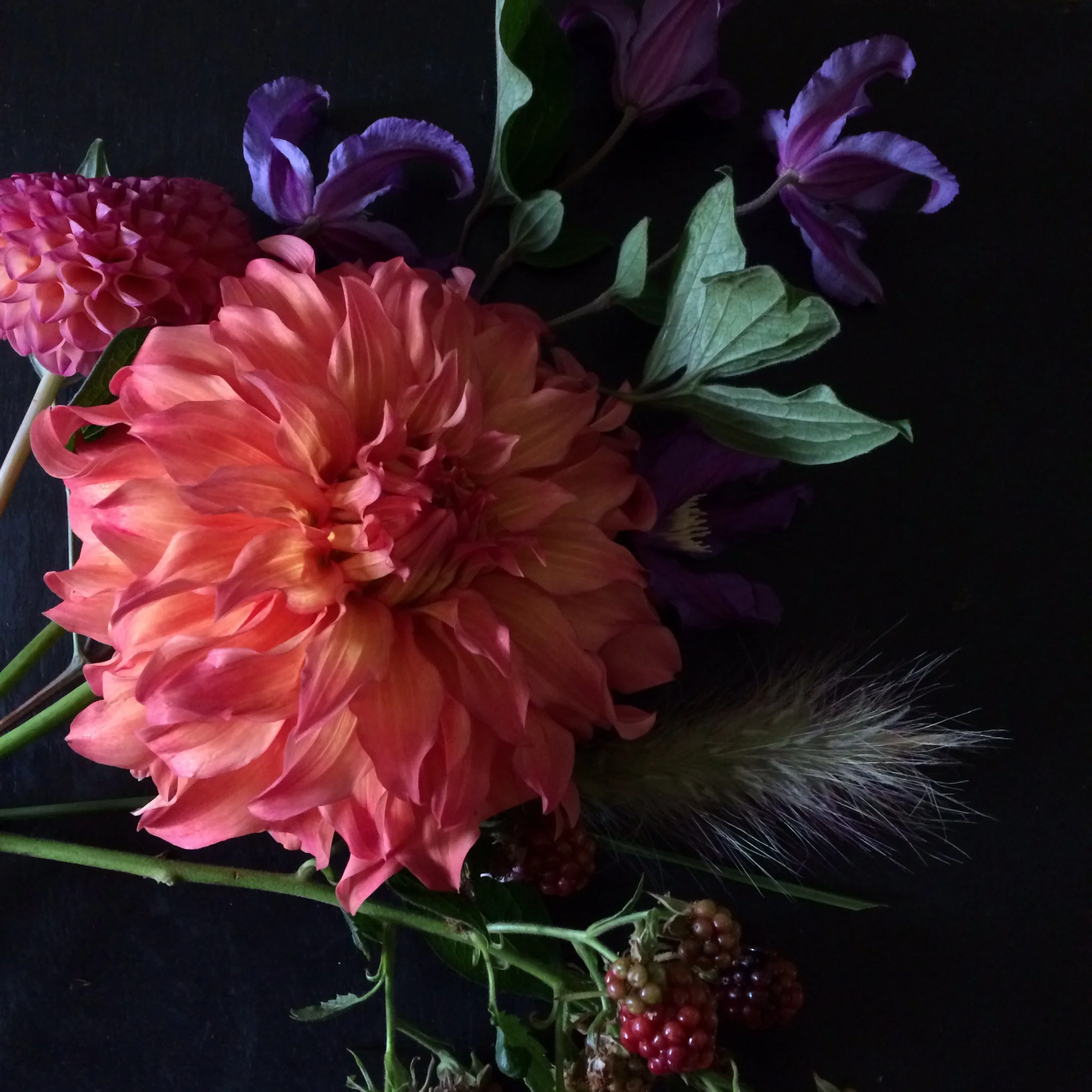 Dahlias, clematis, grasses and blackberries