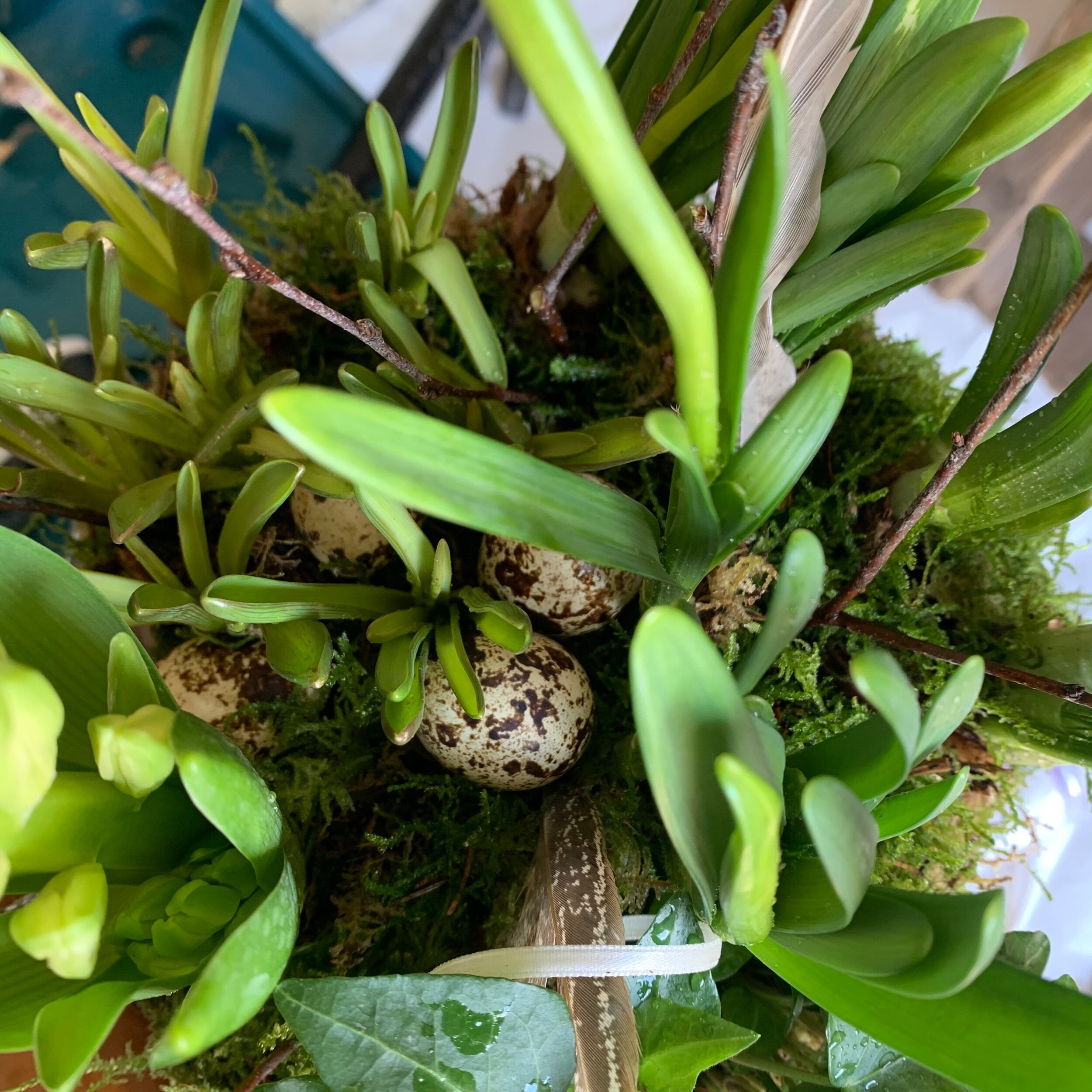 6D87AB78-2579-4674-AB40-FFA9573518CD