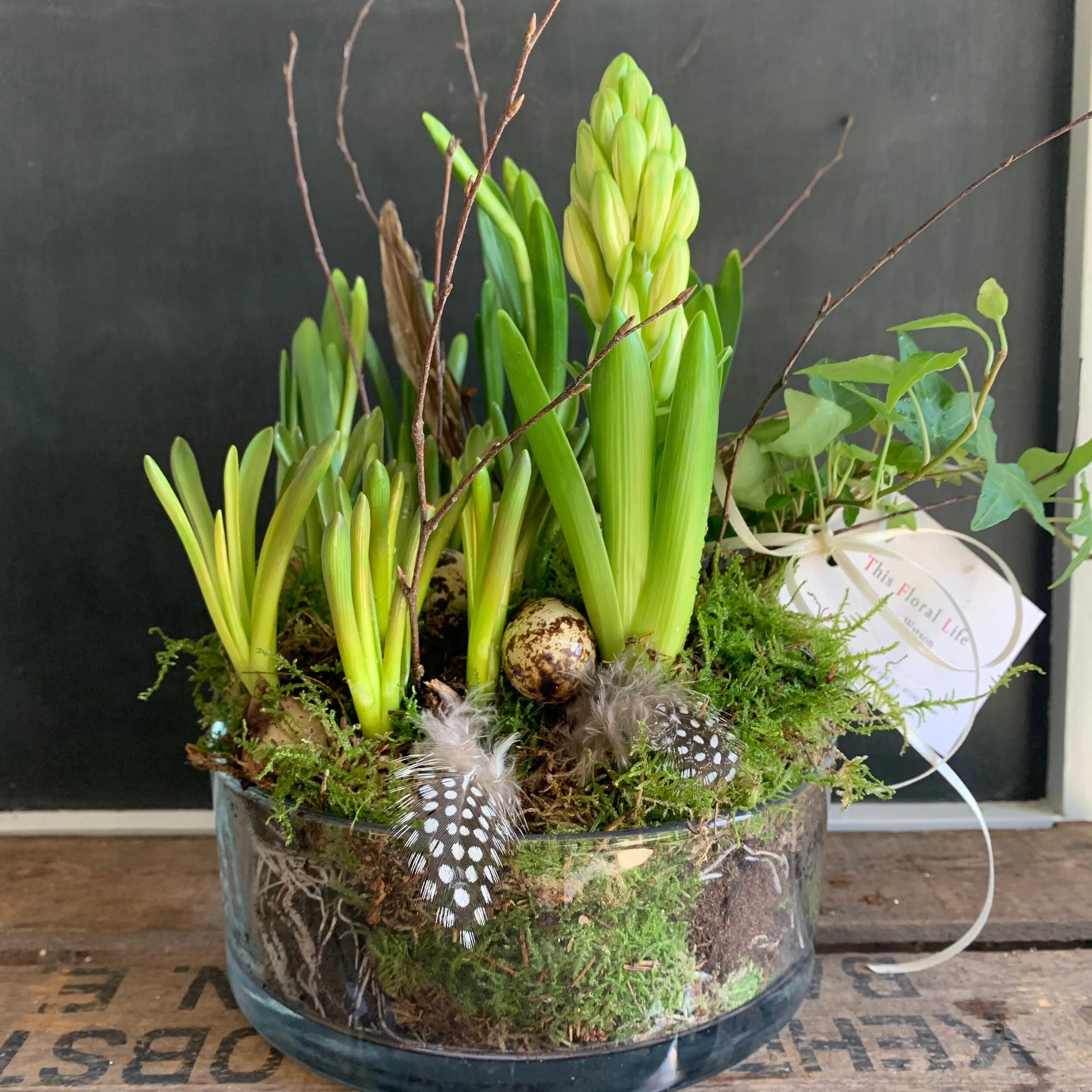 5FCE06F4-7AB8-4B67-9EBA-F18DEC1510ED