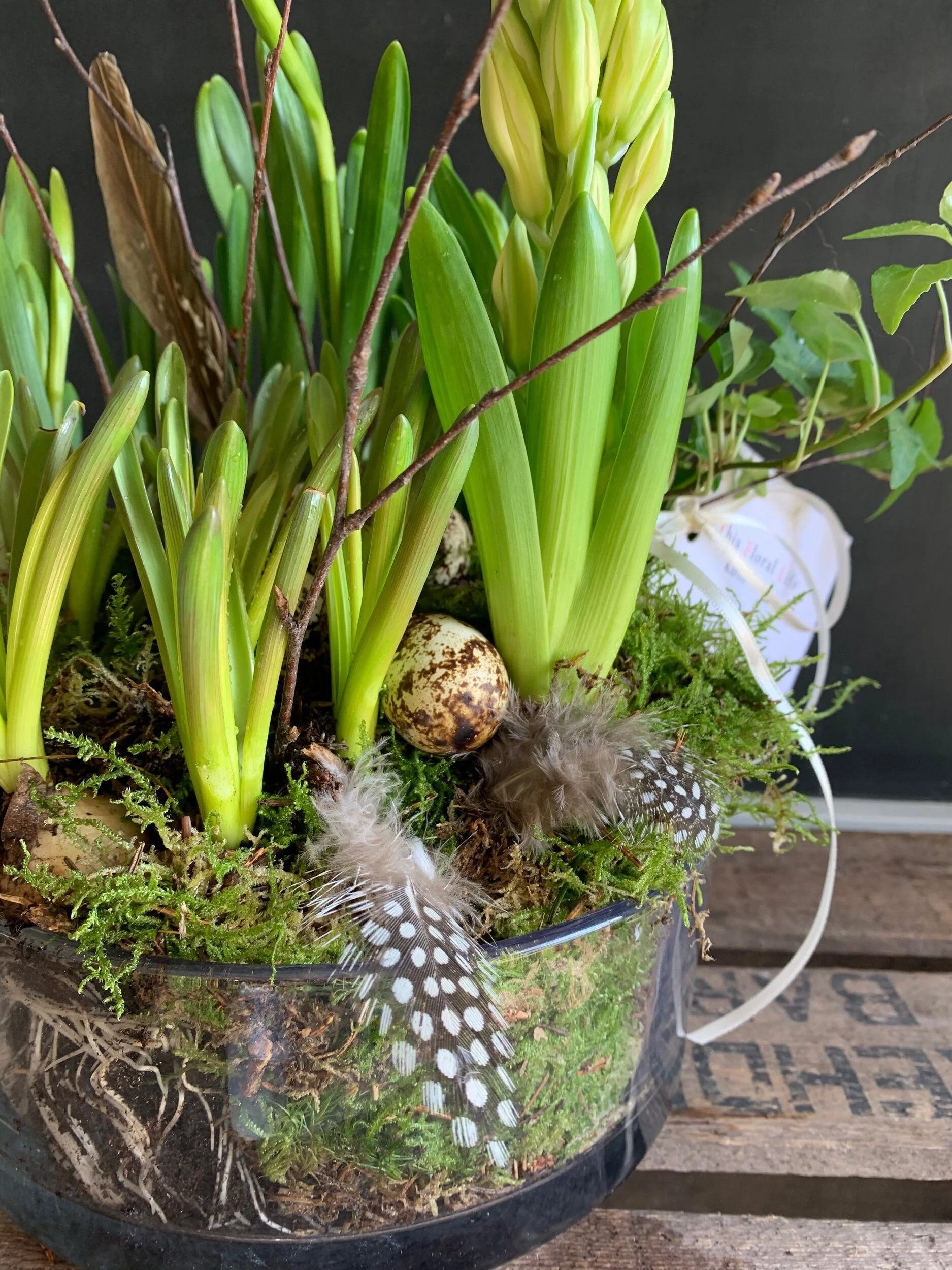 2EC554D4-766A-42C9-99A4-216C8F98C37C