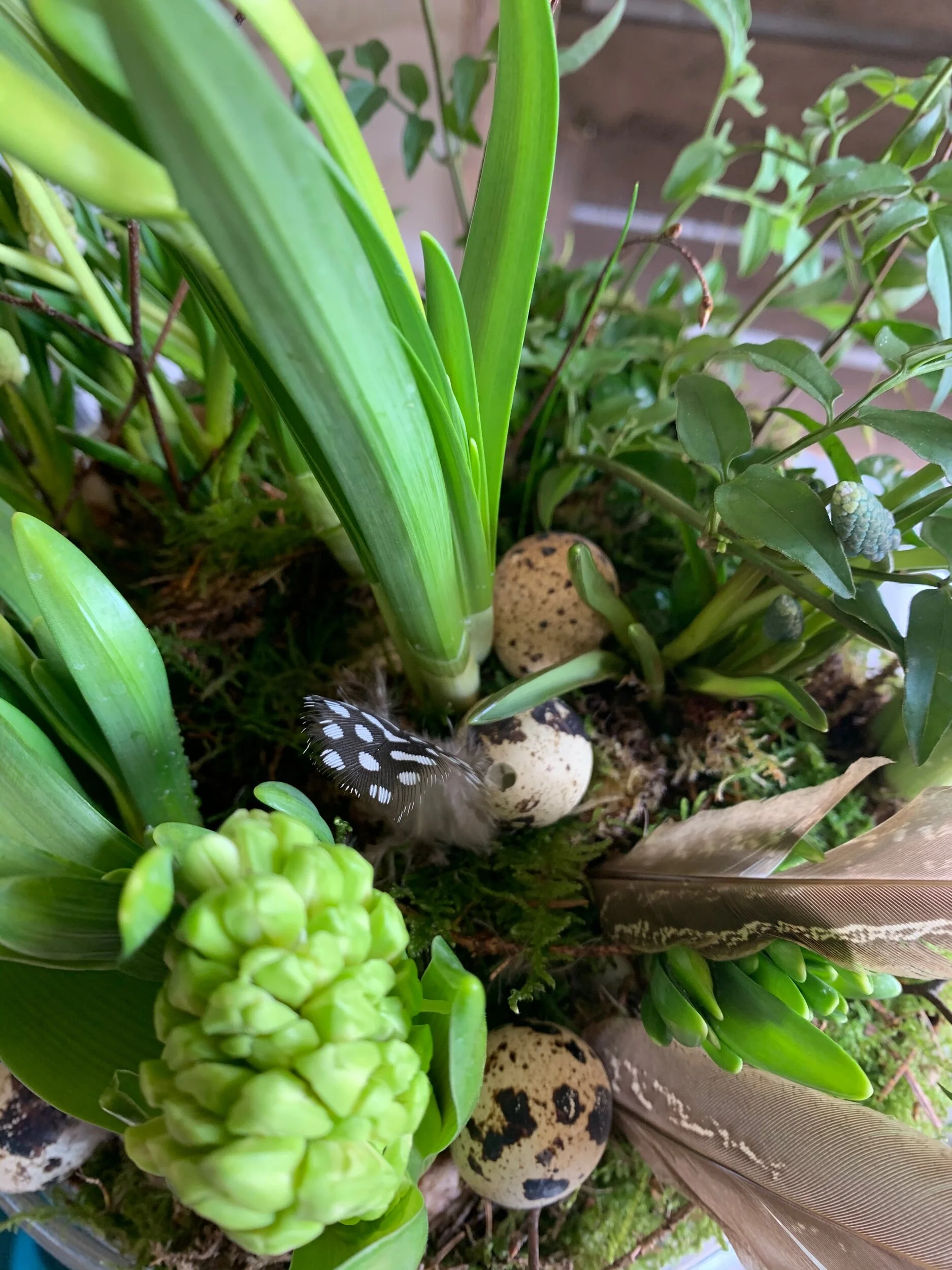 A2272B2C-E144-470B-B64A-1AB9206F6197