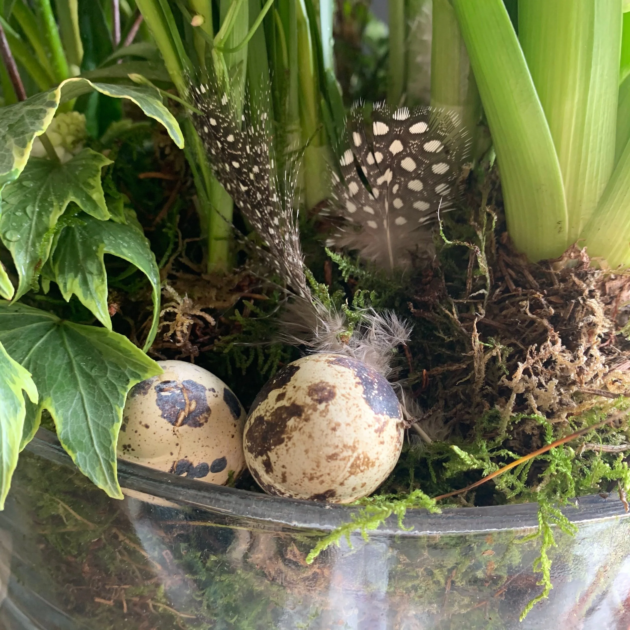 2BBBB40A-E8F2-4B08-9253-E95D3A8D650E