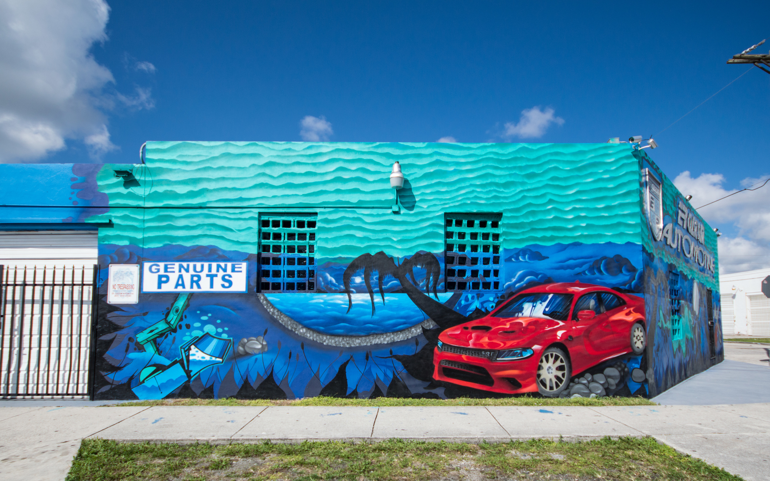 er_custom_wall2_mural-1.jpg
