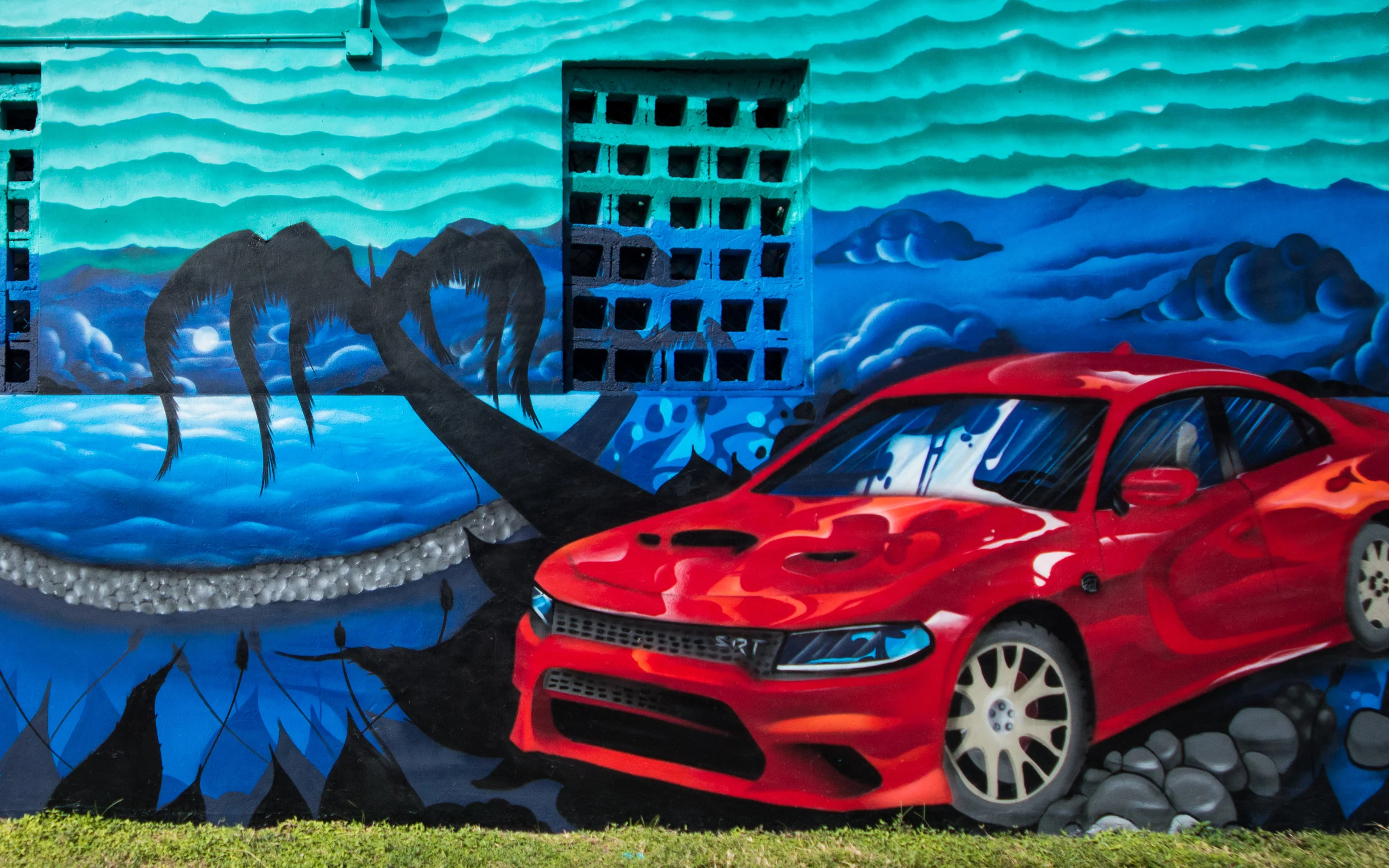 er_custom_wall2_mural-5.jpg