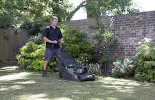 Lawn Cutting