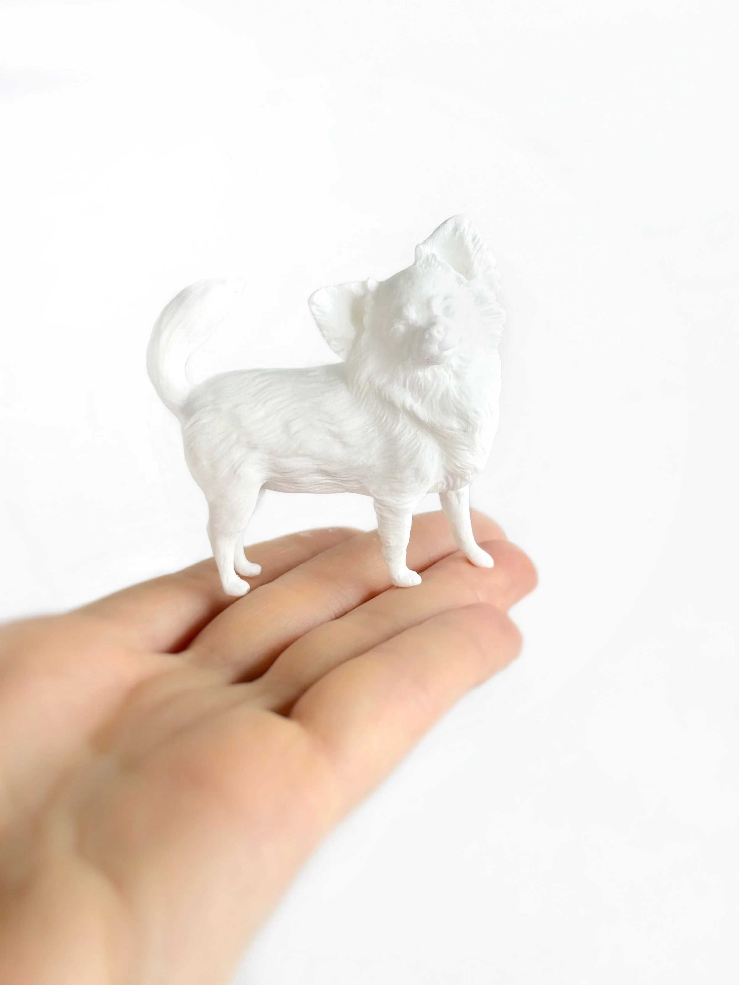 Mini Chihuahua - Limited Edition | Custom Paintwork