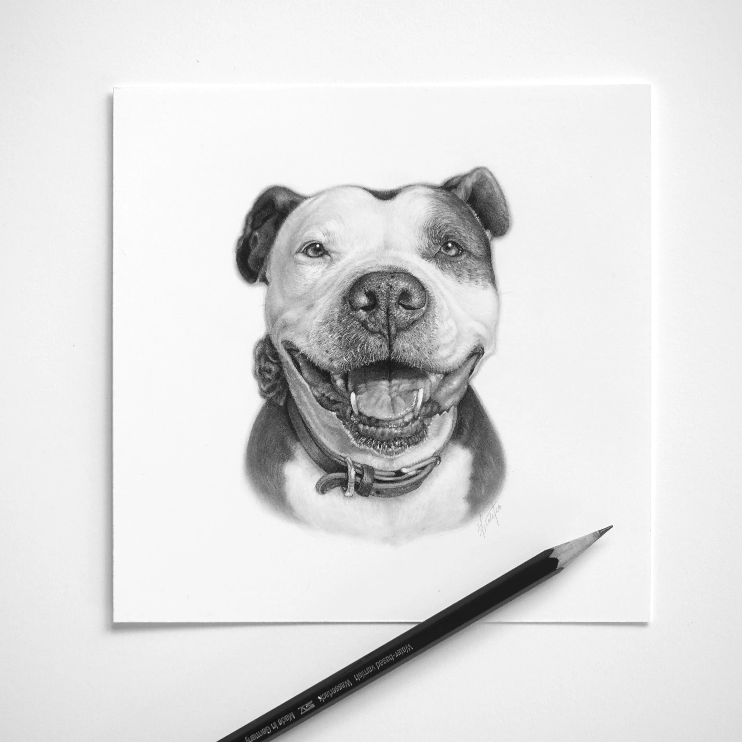 Custom 6x6” Graphite Pet Portrait