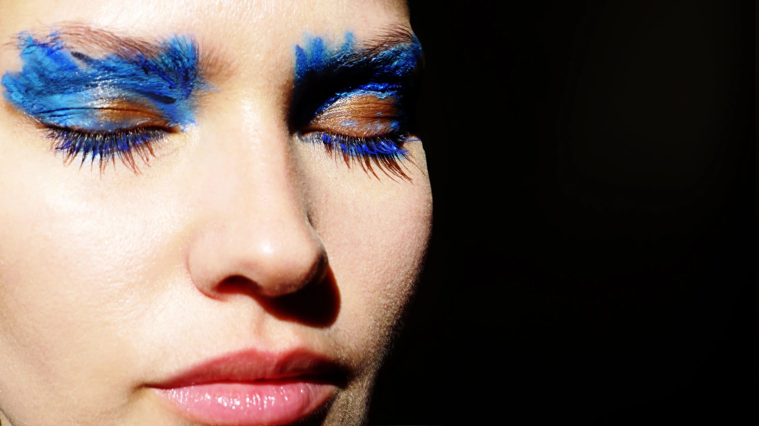 blue swan 3.jpg
