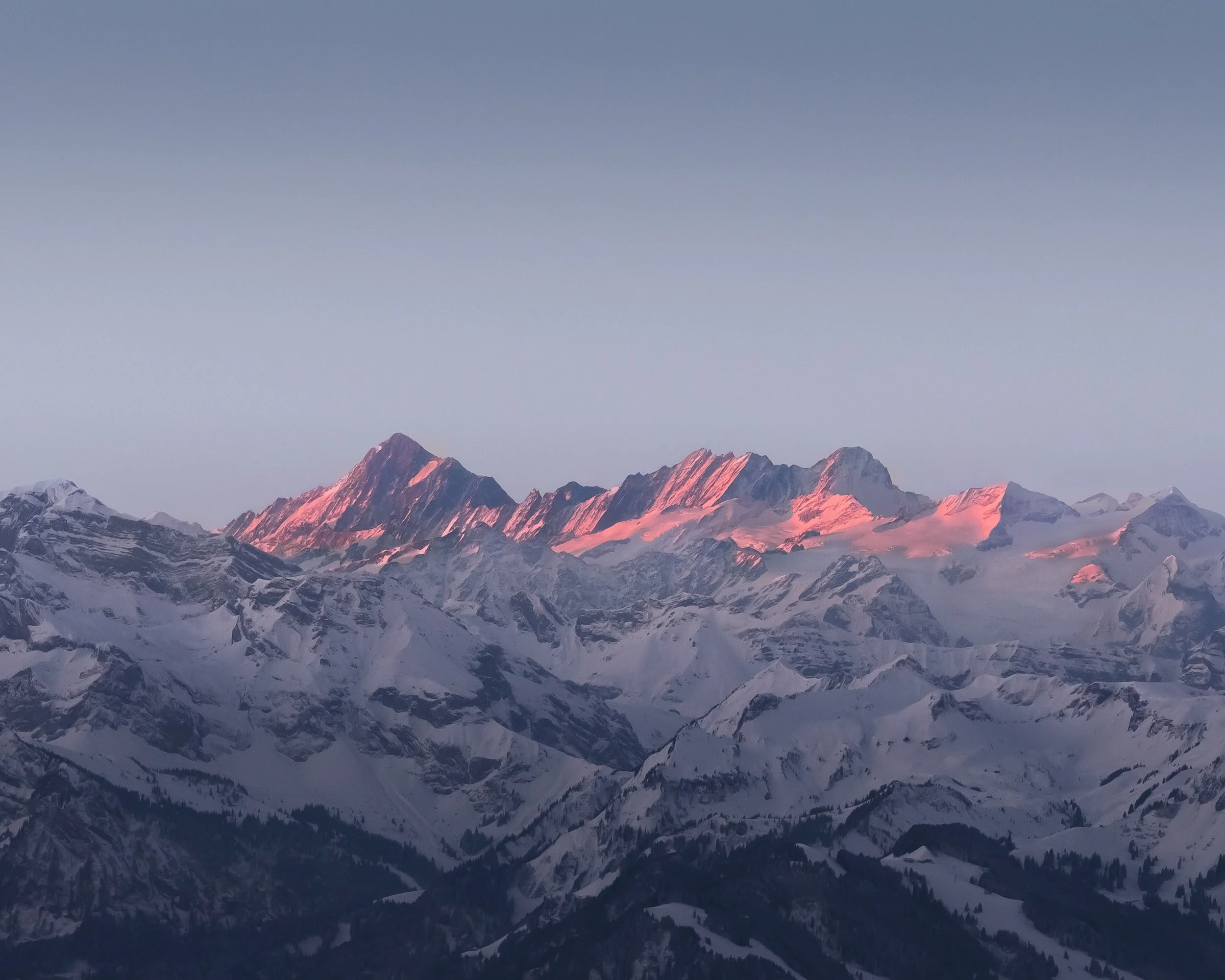 Alpine Ascents Guides