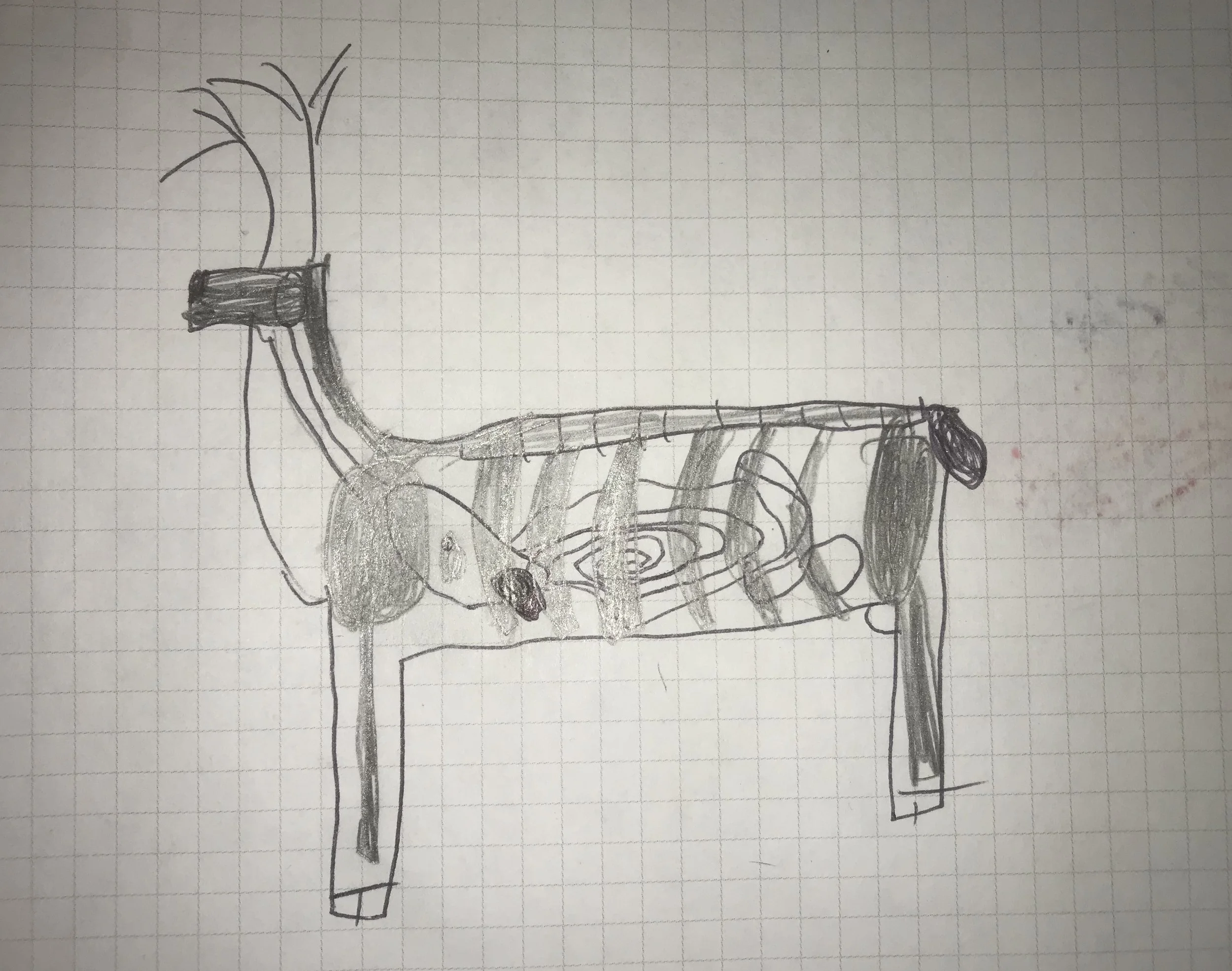 DeerDiagram.jpg