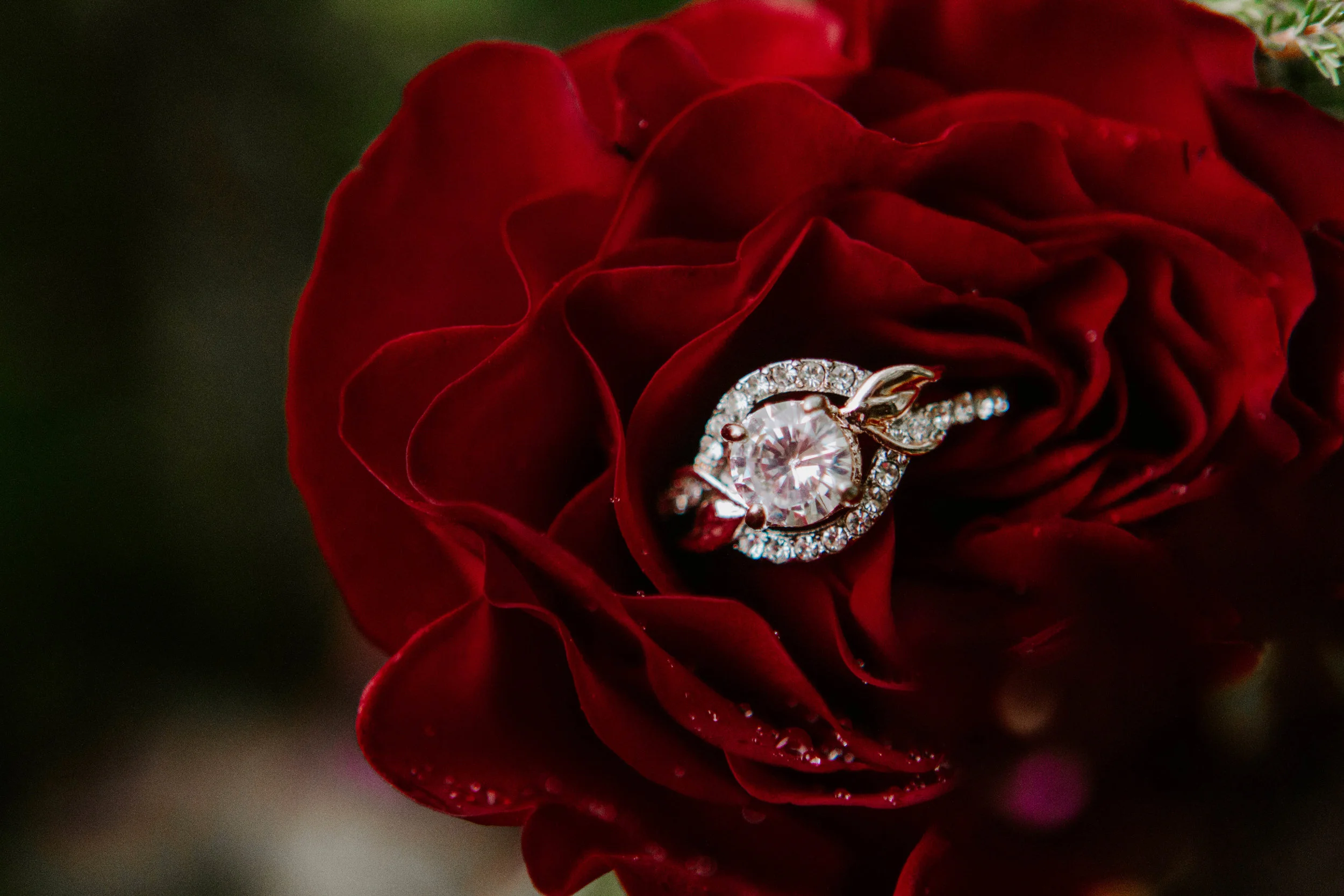 styled shoot (176 of 184).jpg