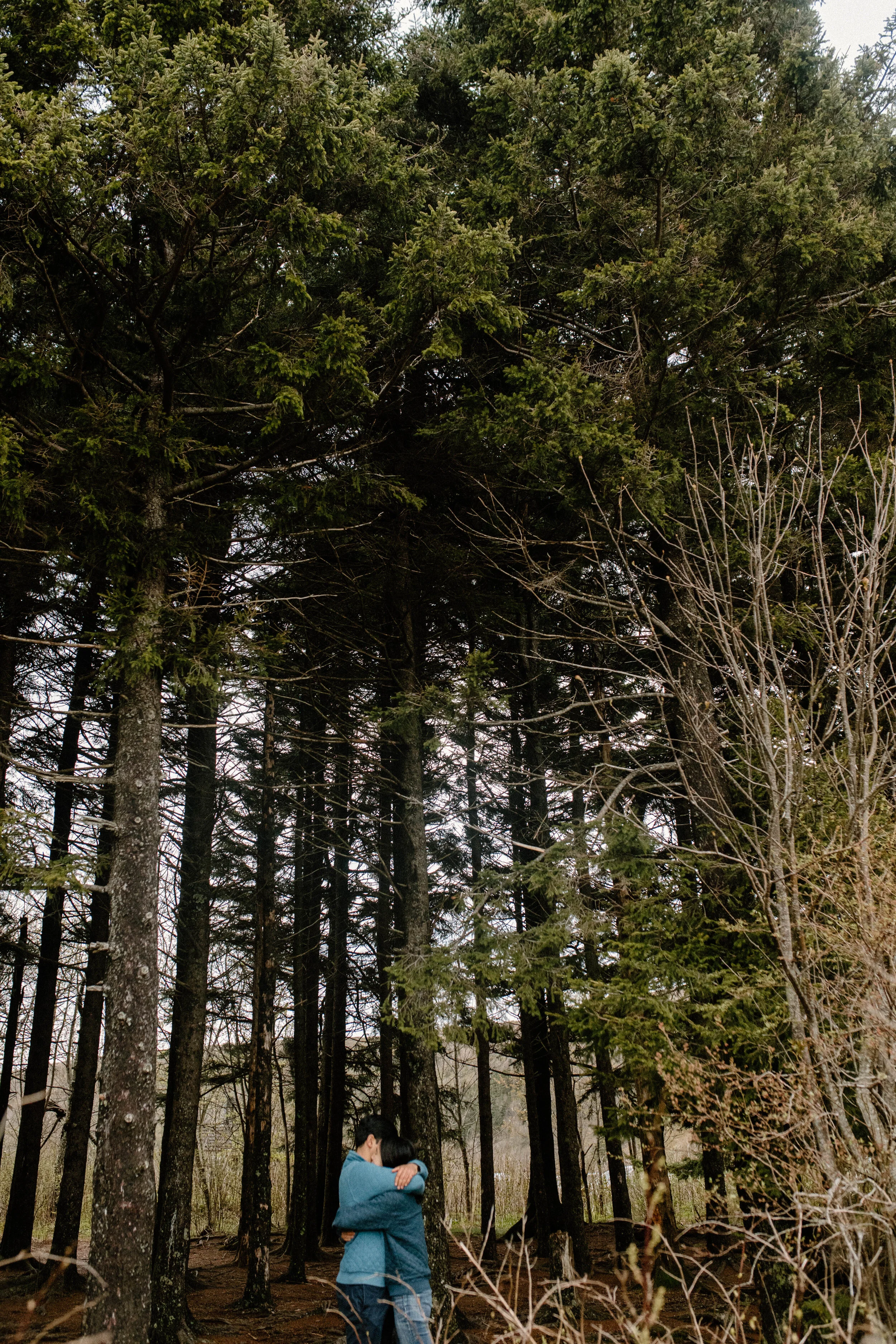 Sunrise Blue ridge parkway mountain proposal engagement-97.jpg