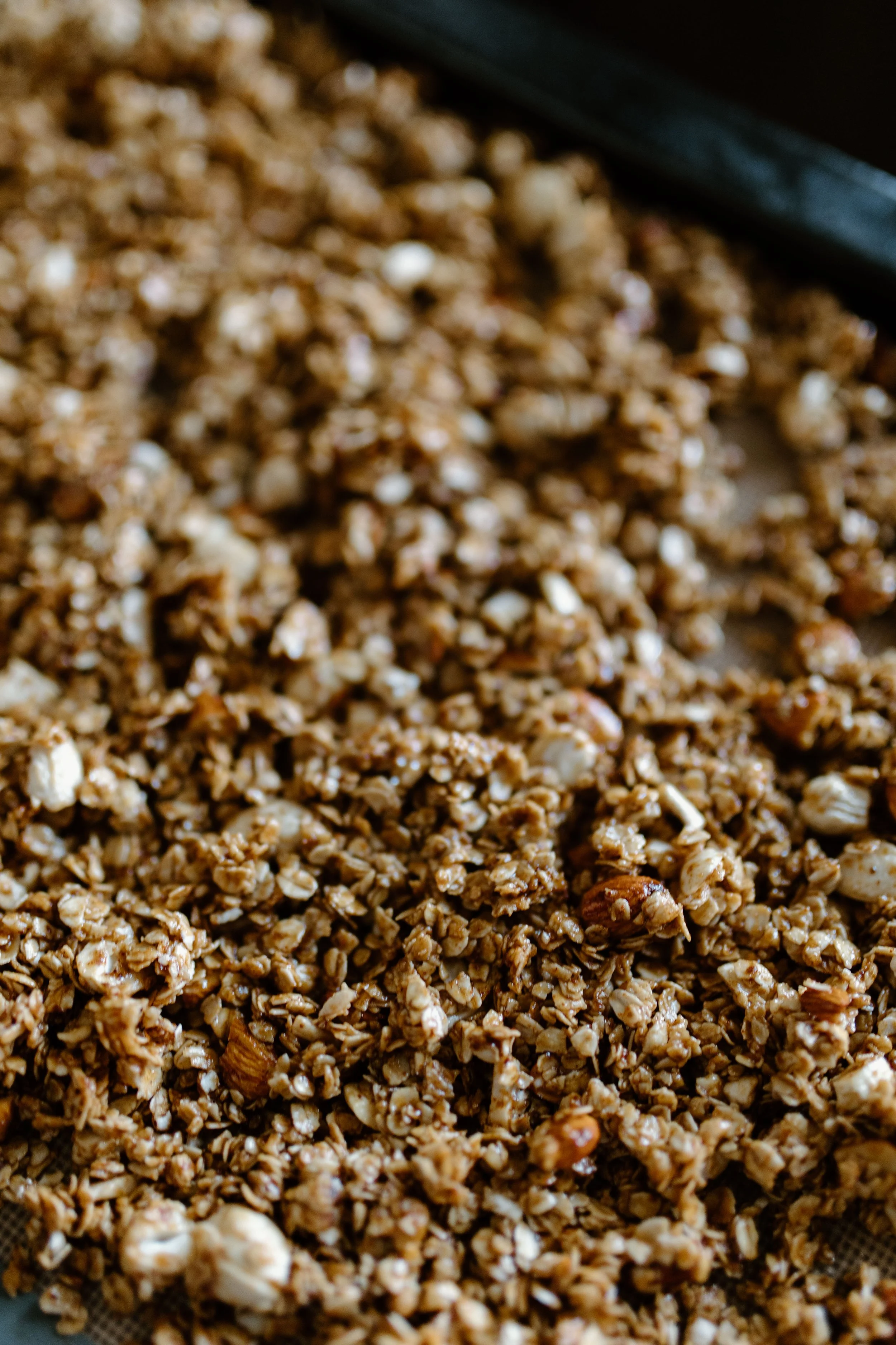 Sourdough Discard Sugar Free Granola — Ellis Illustrations