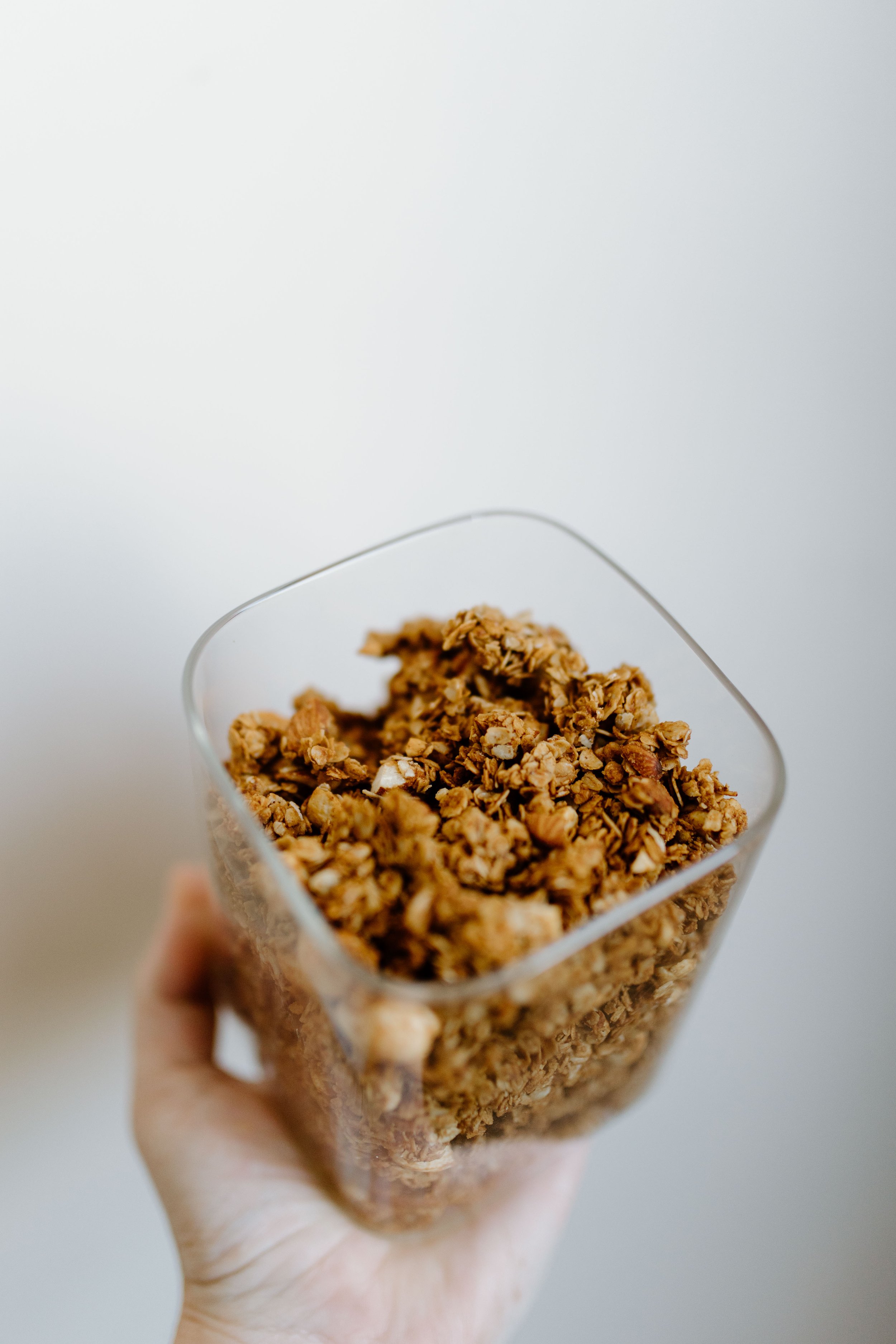 Sourdough Discard Sugar Free Granola — Ellis Illustrations