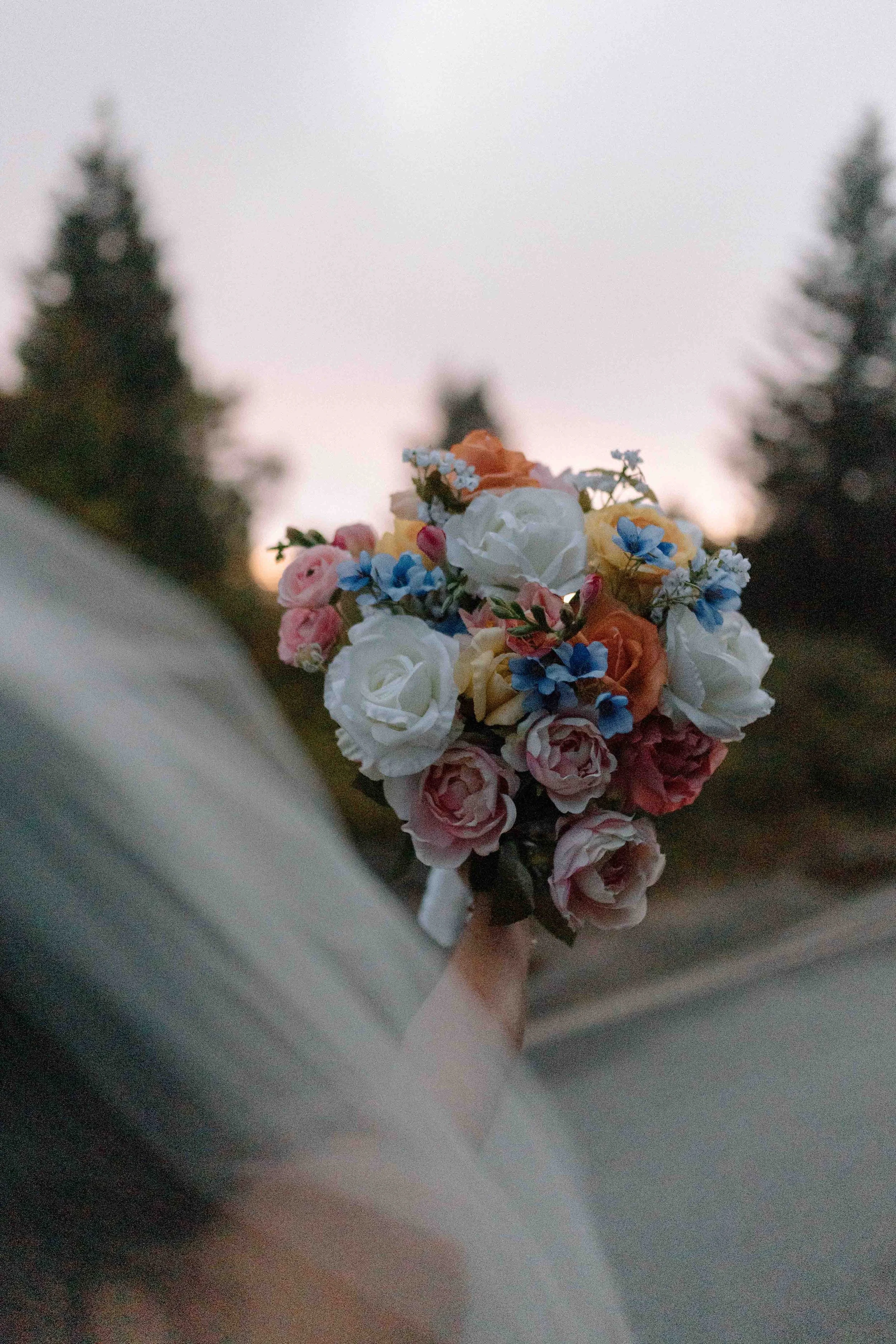 Black- Balsam-Knob-Elopement-10.jpg