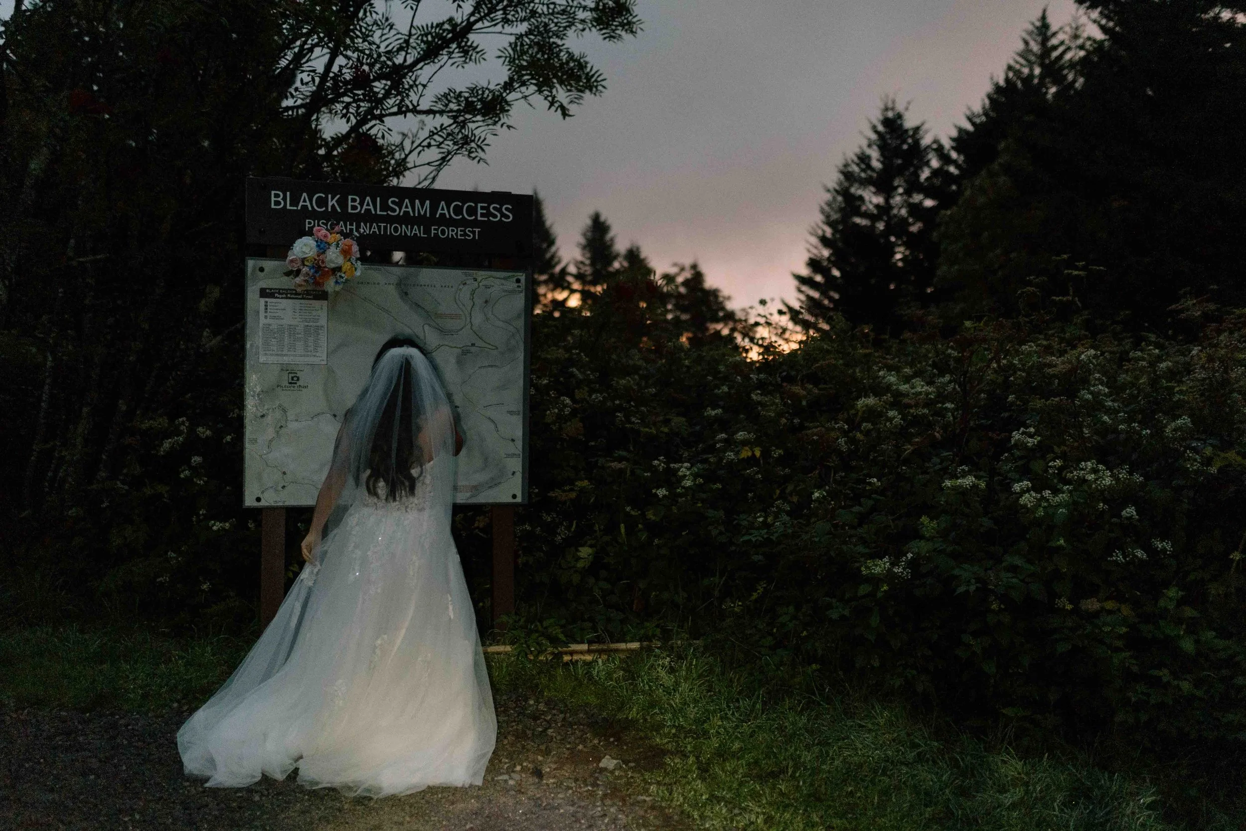 Black- Balsam-Knob-Elopement-12.jpg