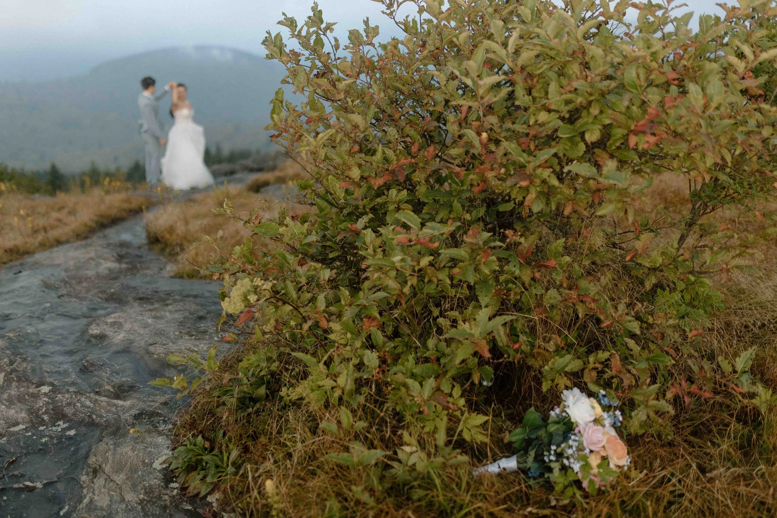 Black- Balsam-Knob-Elopement-57.jpg