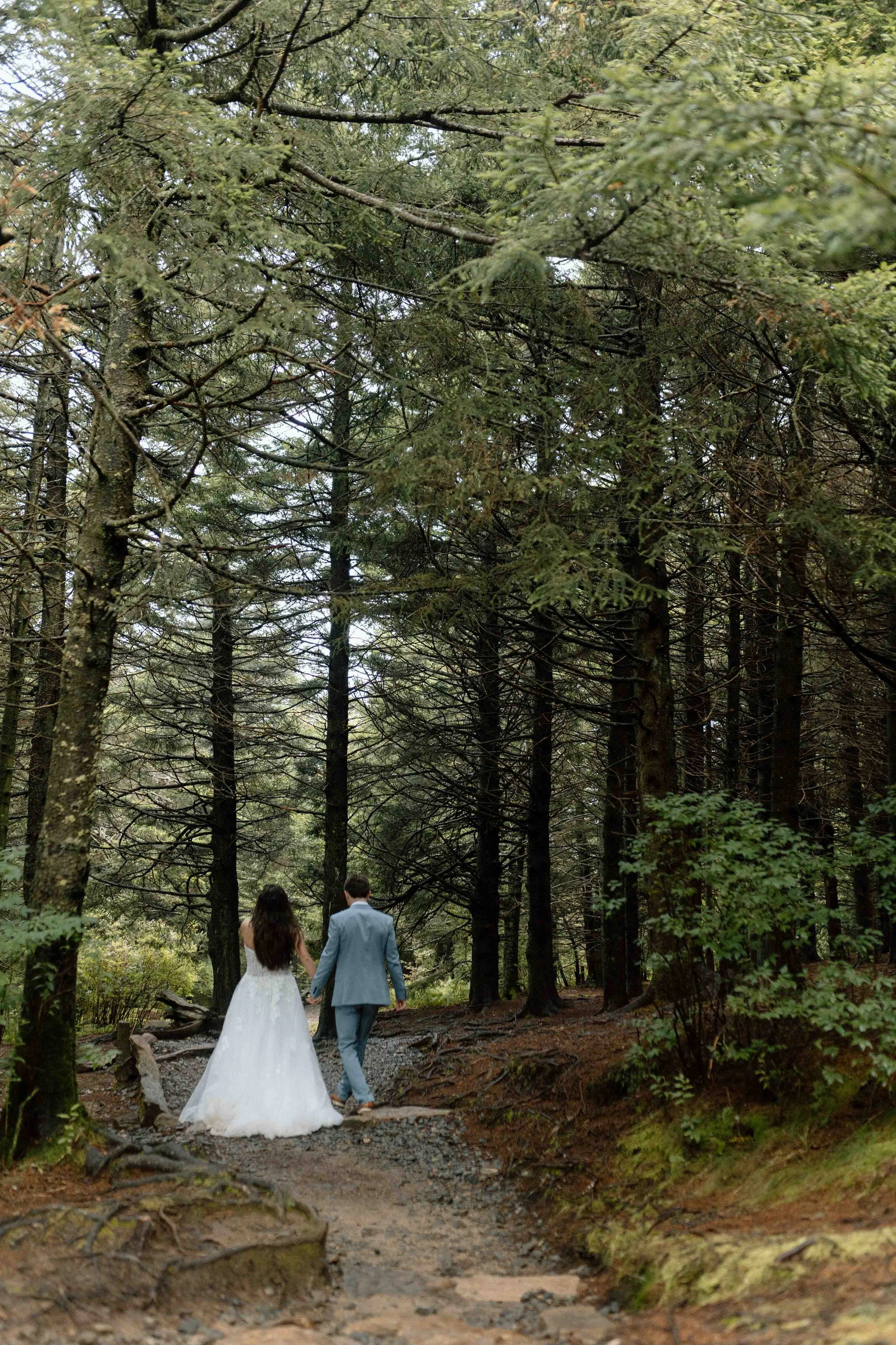Black- Balsam-Knob-Elopement-69.jpg