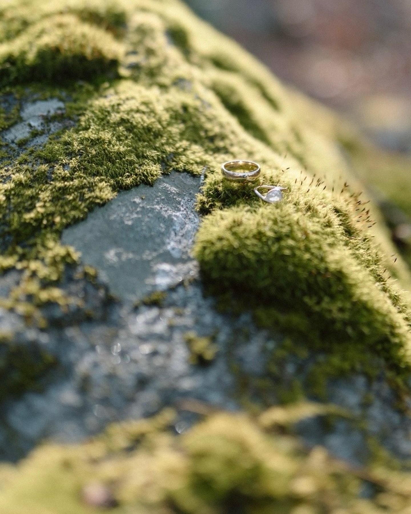 It&rsquo;s been a while since I made a static post on my page &mdash; and I knew that Saturday&rsquo;s holy pause was the perfect one to break that streak. At one point in the evening, the people that love Connor&amp; @summerhughes_ the most all wrot