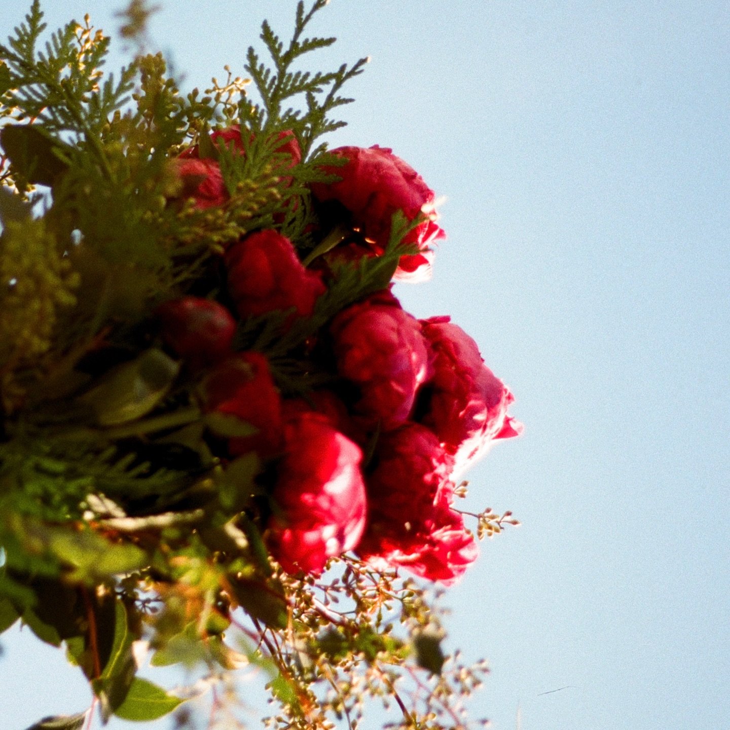 Summer + Connor, a wedding day full of intention, on film