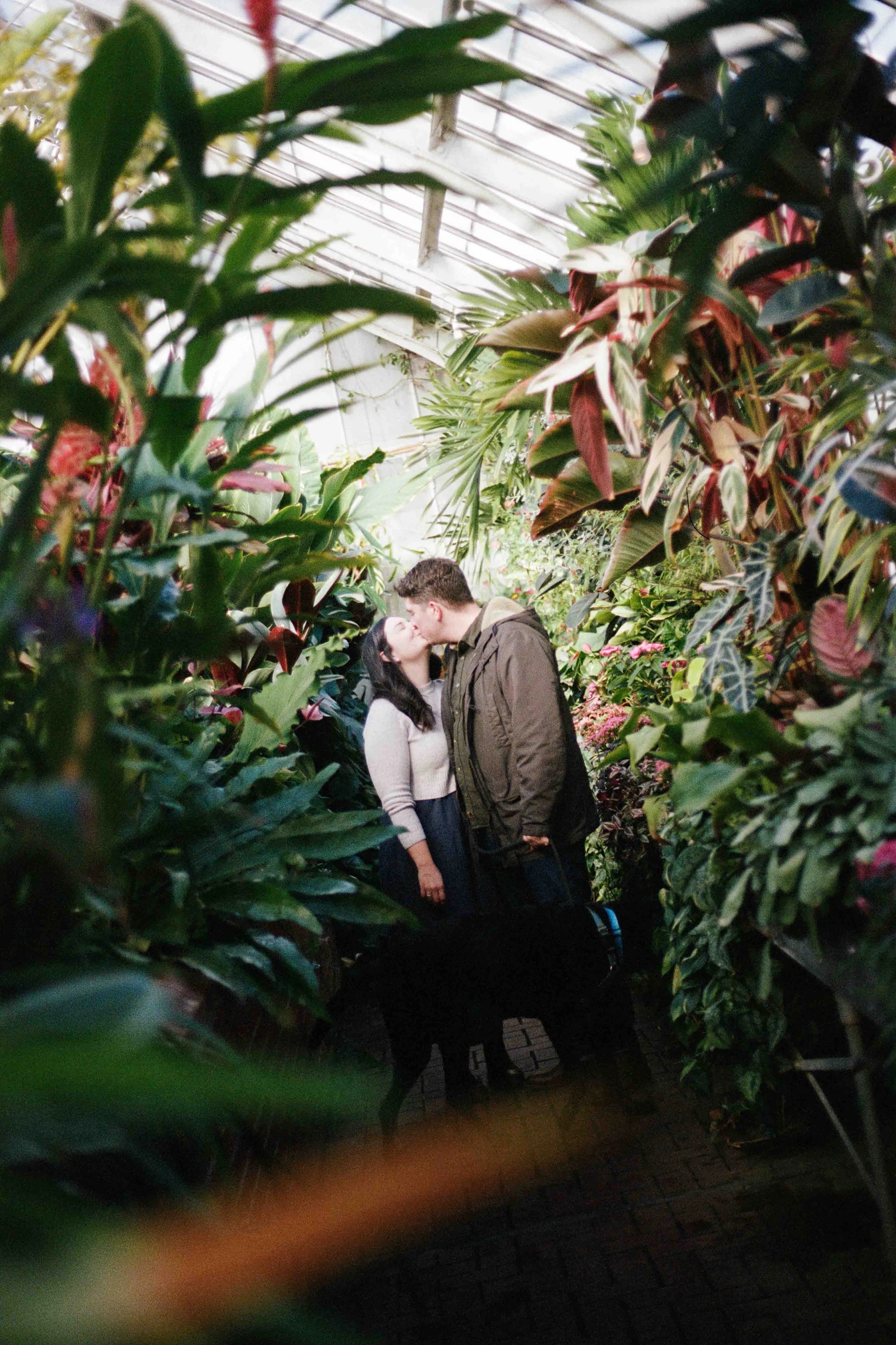 Biltmore Engagement Photos Film-2.jpg