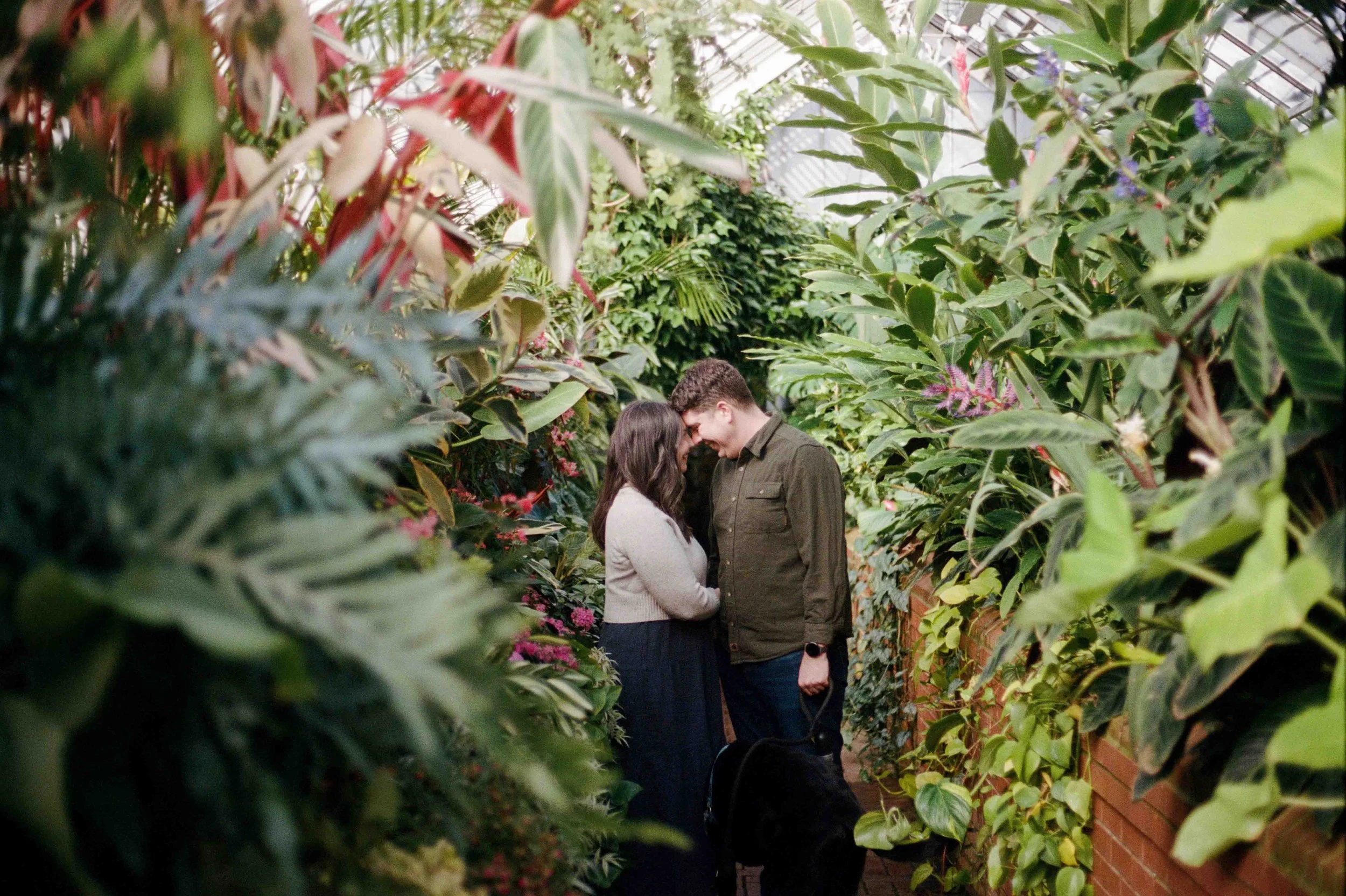 Biltmore Engagement Photos Film-4.jpg