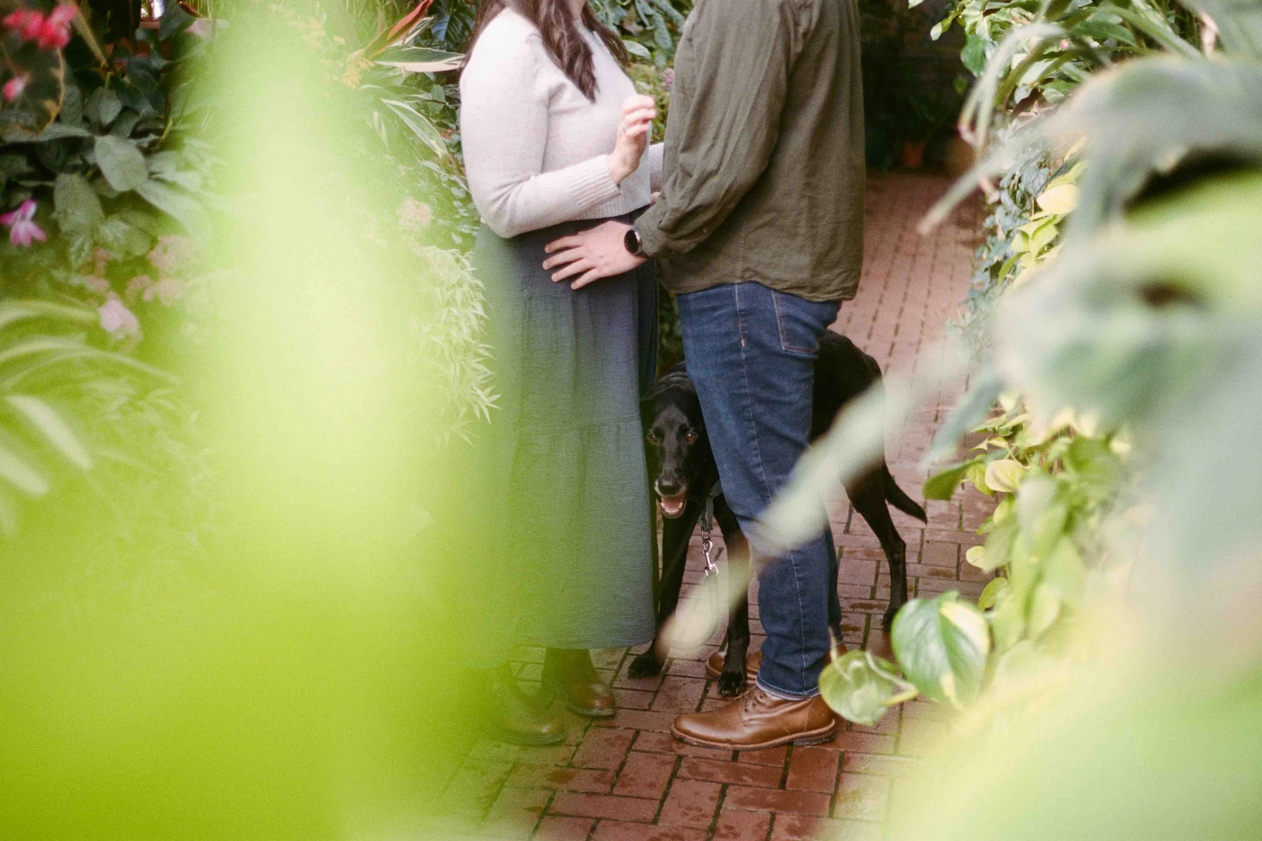 Biltmore Engagement Photos Film-5.jpg