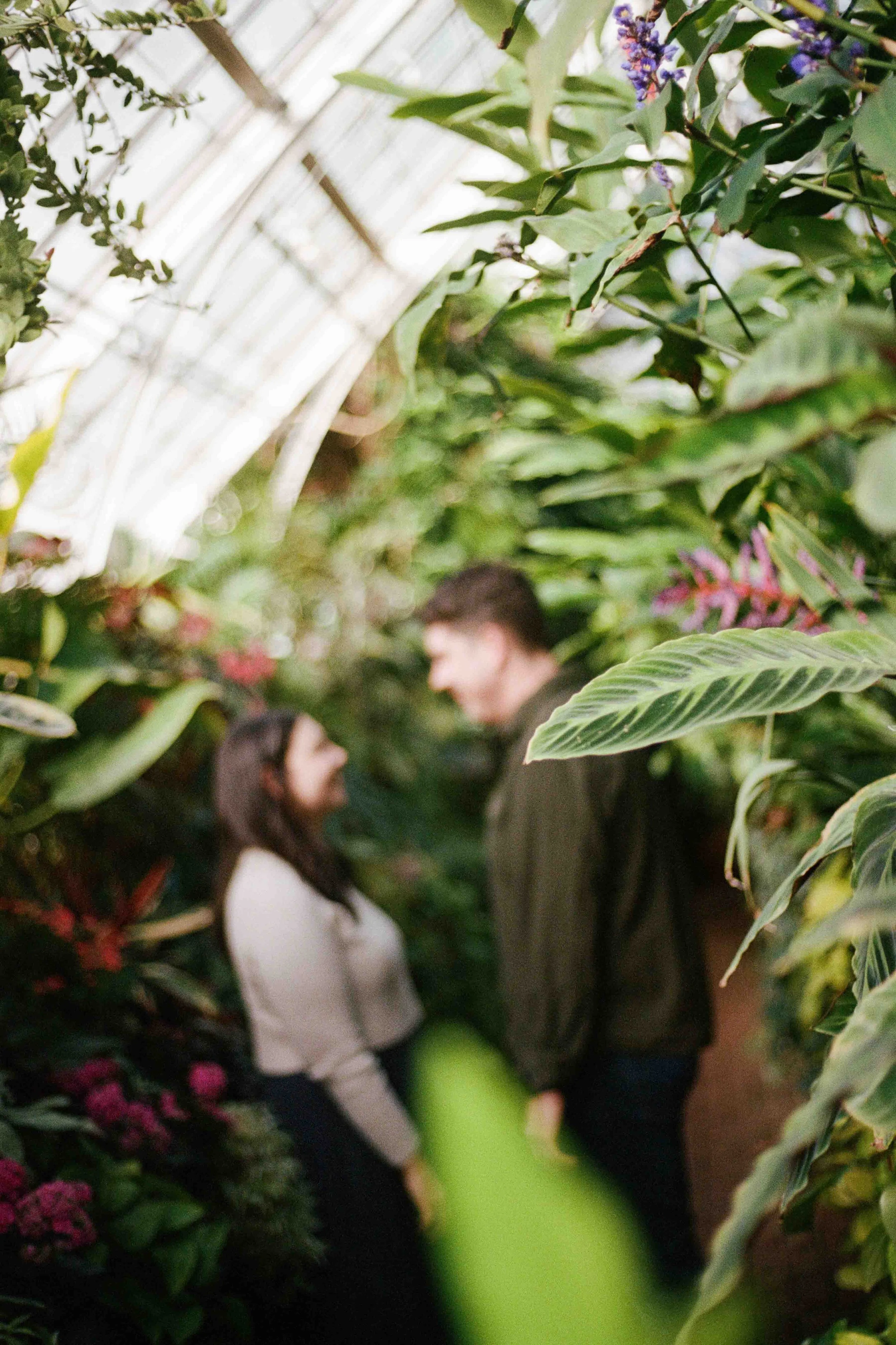 Biltmore Engagement Photos Film-7.jpg