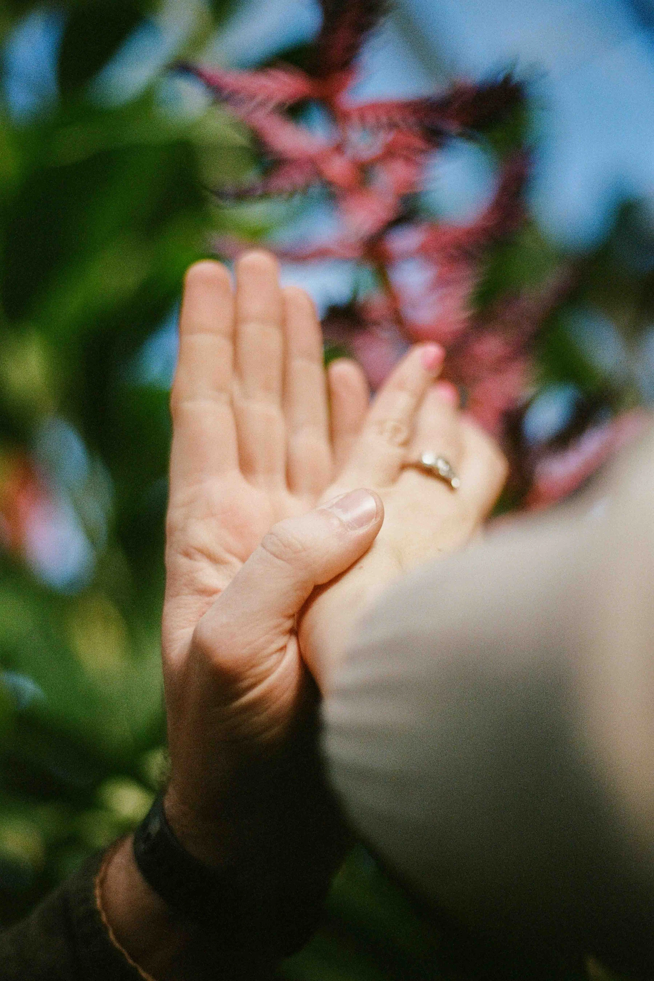 Biltmore Engagement Photos Film-16.jpg