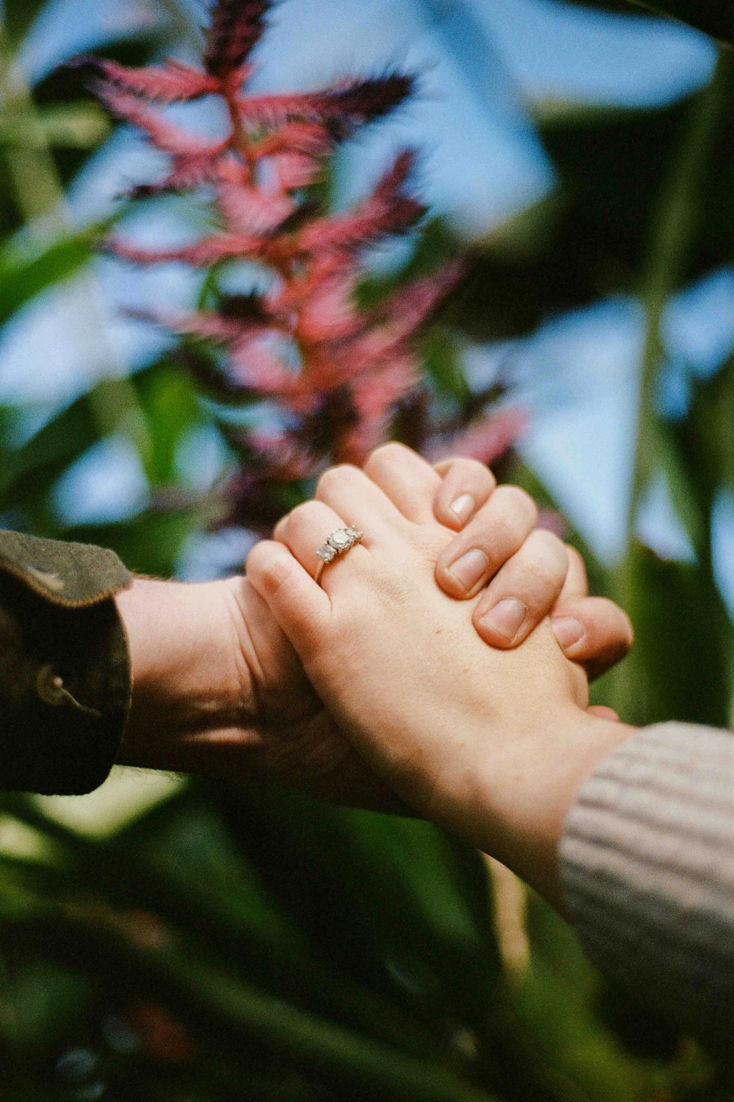Biltmore Engagement Photos Film-17.jpg