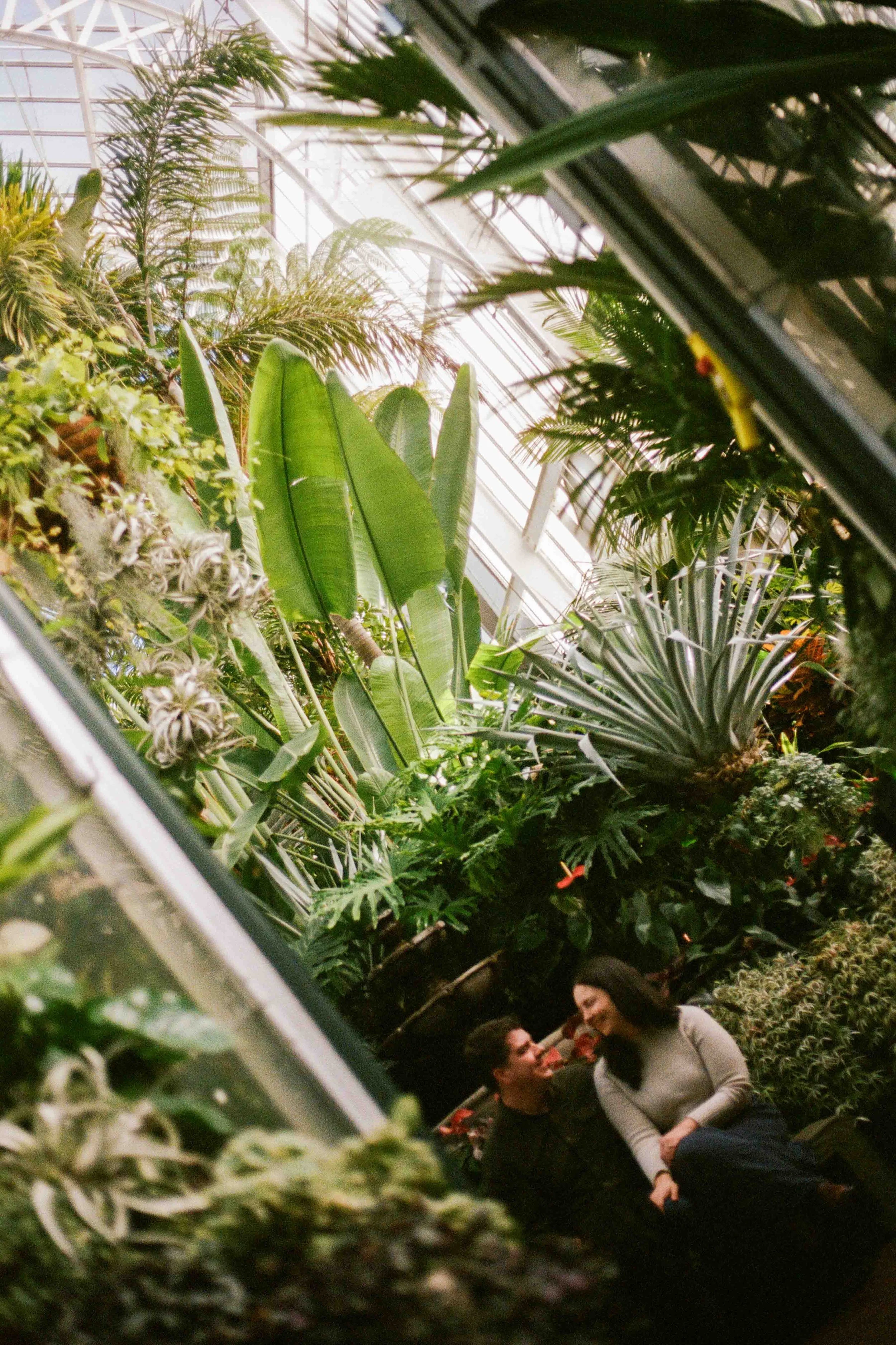 Biltmore Engagement Photos Film-23.jpg