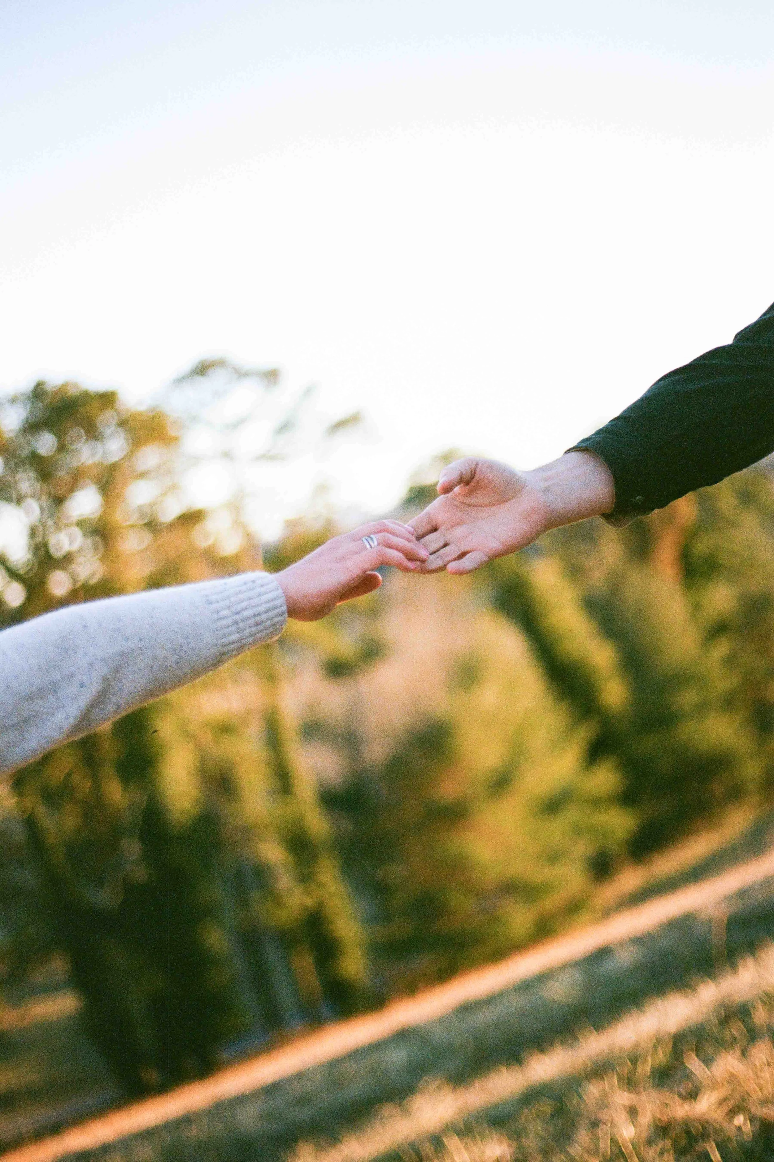Biltmore Engagement Photos Film-122.jpg