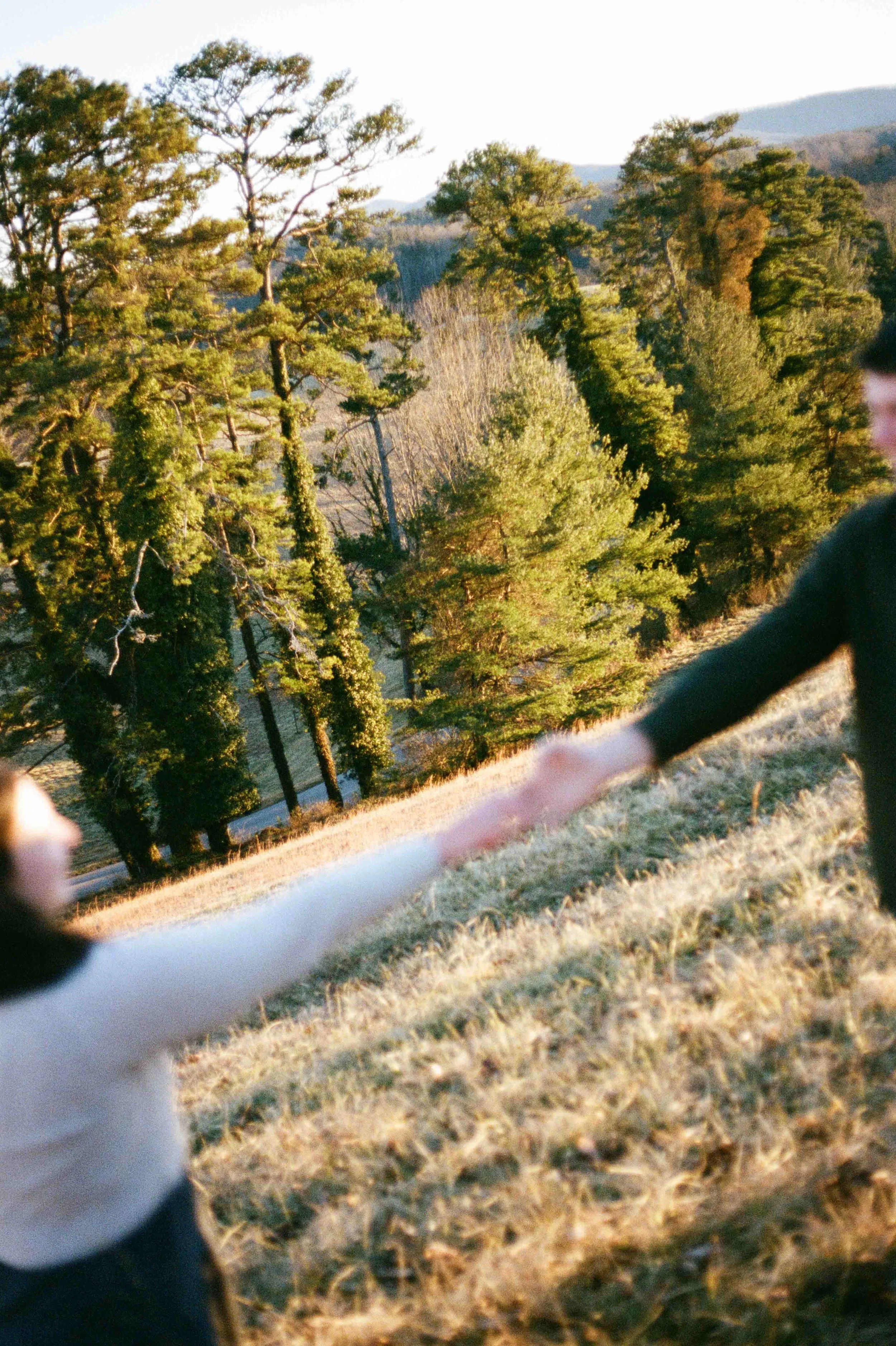 Biltmore Engagement Photos Film-124.jpg