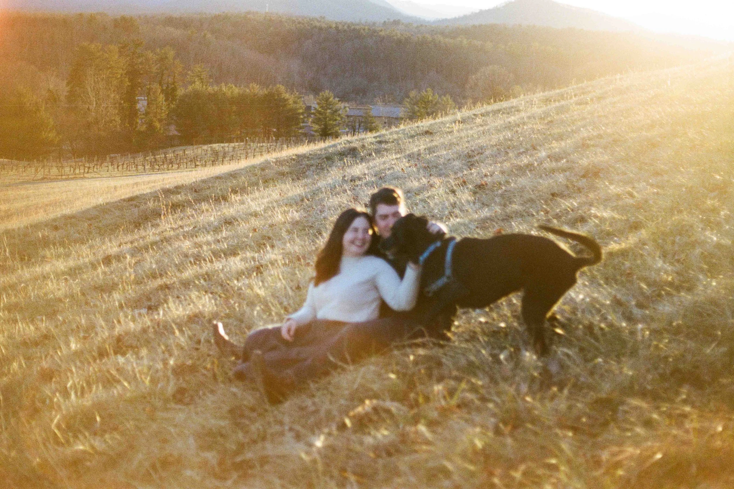 Biltmore Engagement Photos Film-131.jpg