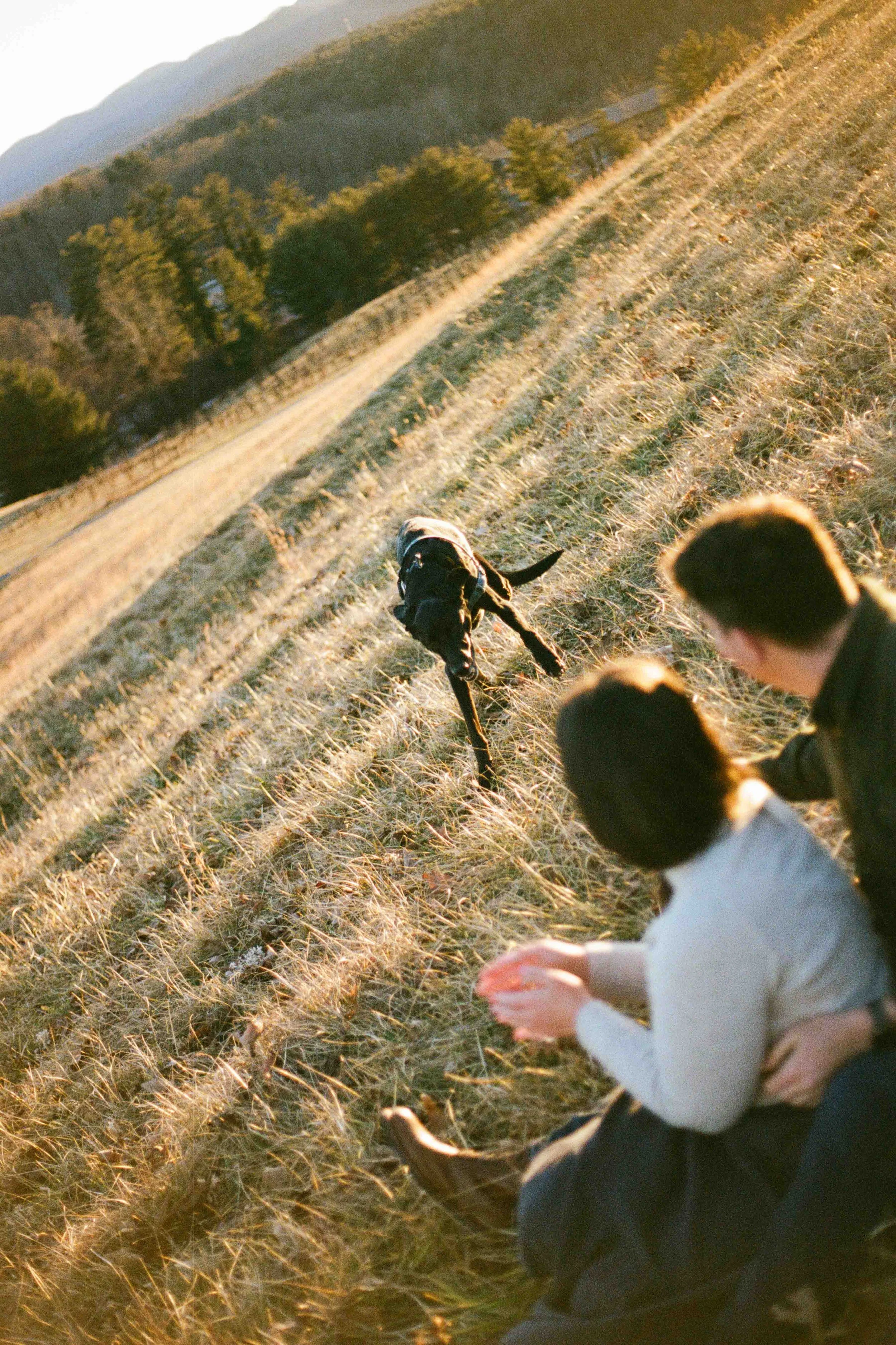 Biltmore Engagement Photos Film-132.jpg