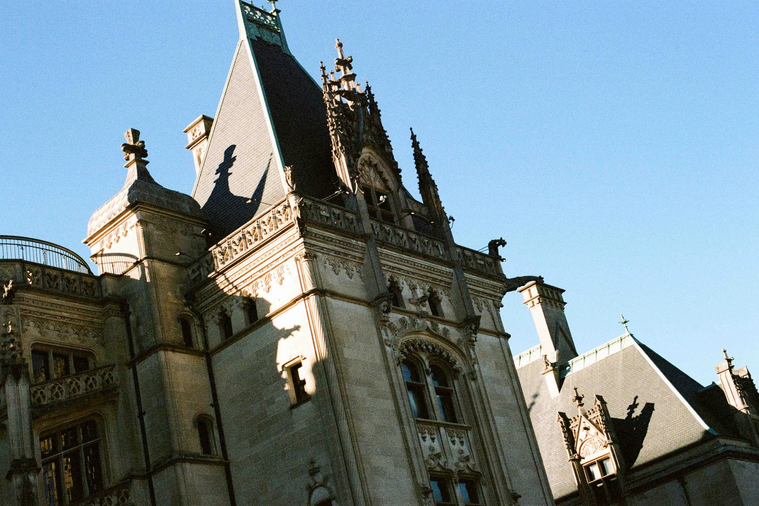 Biltmore Engagement Photos Film-147.jpg