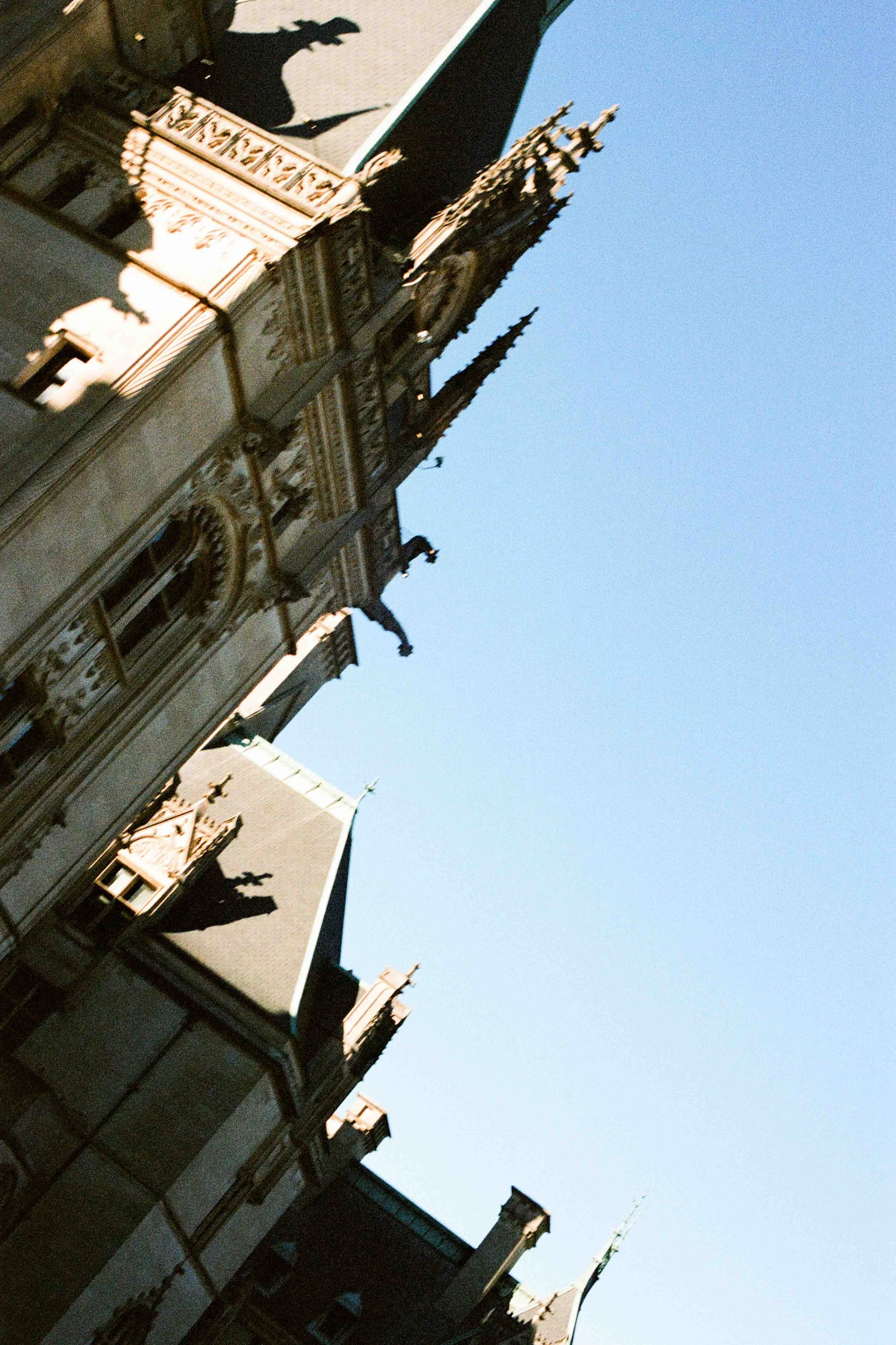 Biltmore Engagement Photos Film-148.jpg