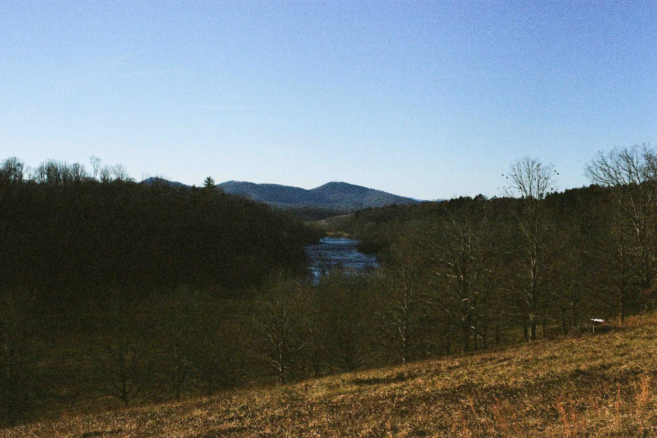 Biltmore Engagement Photos Film-153.jpg