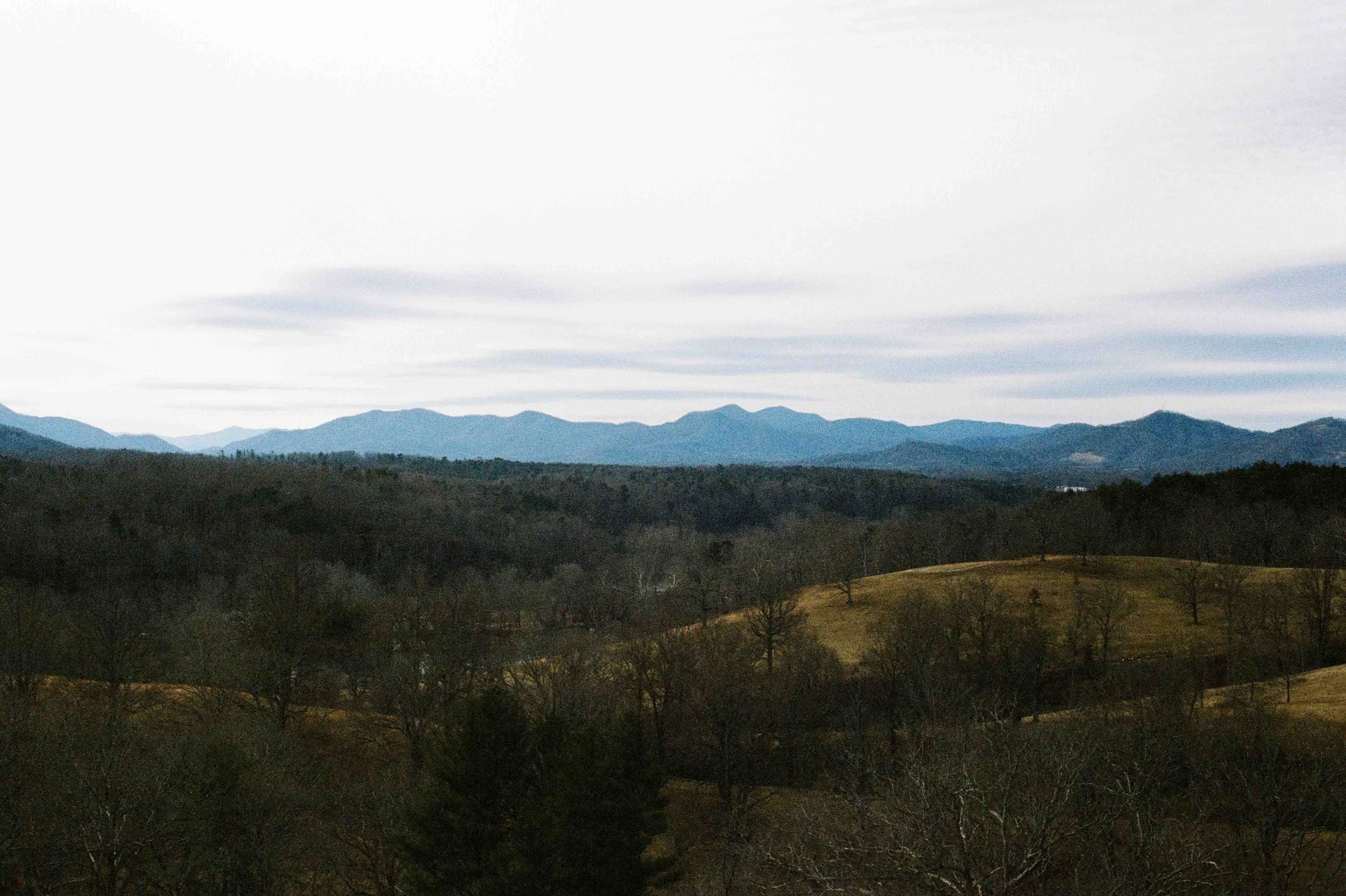 Biltmore Engagement Photos Film-160.jpg