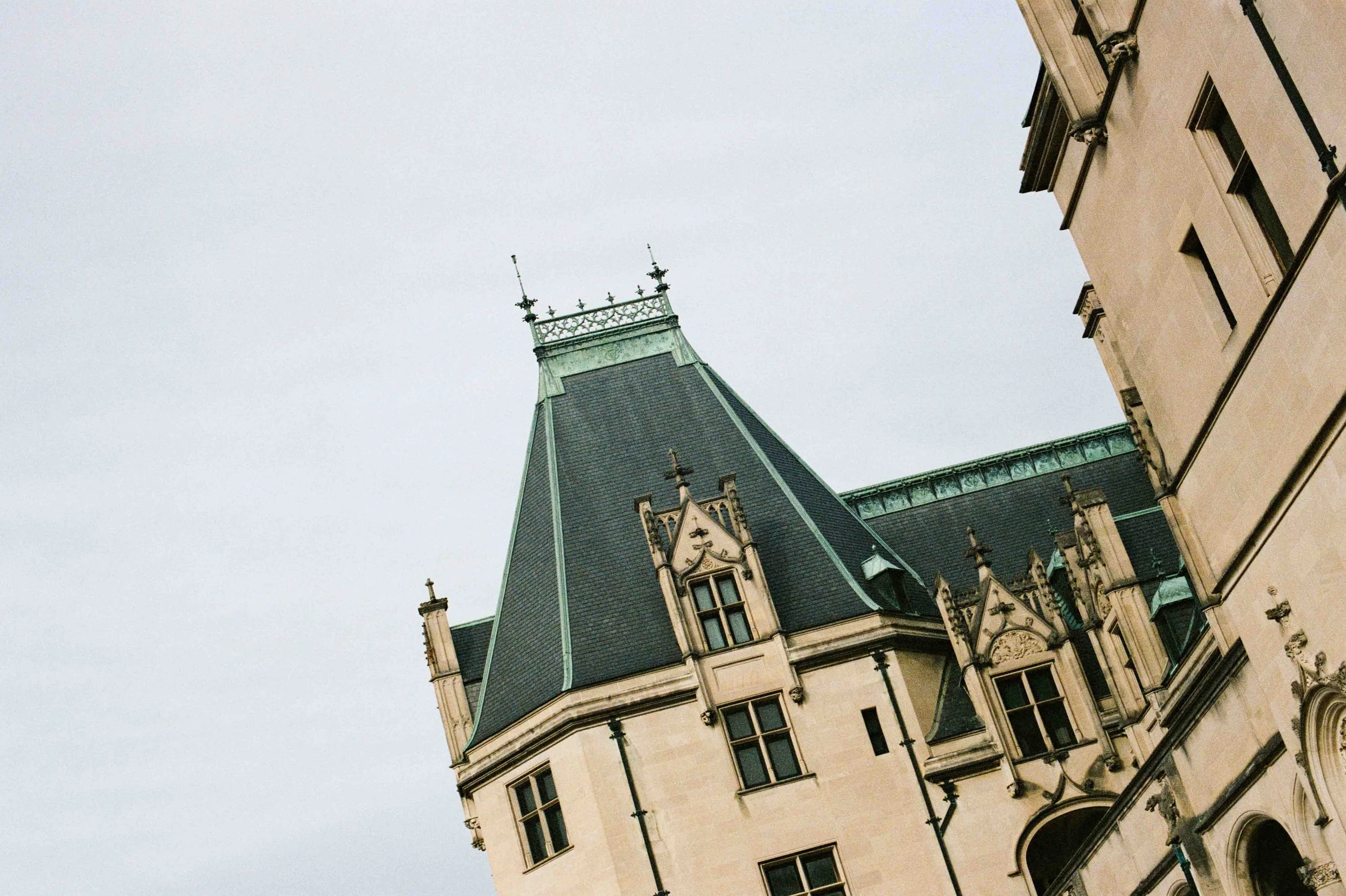 Biltmore Engagement Photos Film-161.jpg